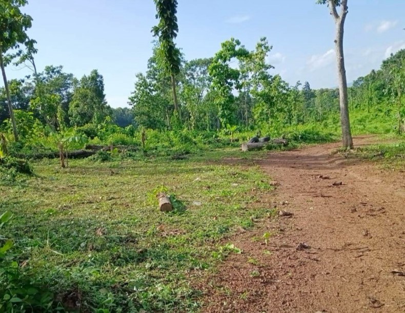 97 Rai Land for Sale in Doi Saket Chiang Mai | Mae Pong, Multiple Road Frontages photo 2