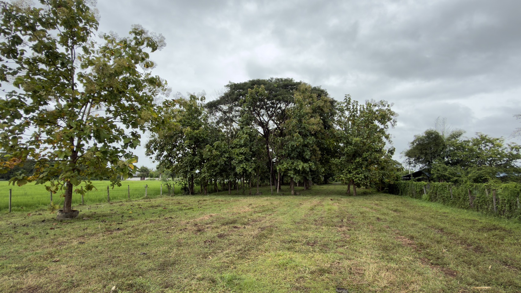 Land for Sale in San Kamphaeng Chiang Mai | 3-3-20 Rai, THB 7.5M photo 3