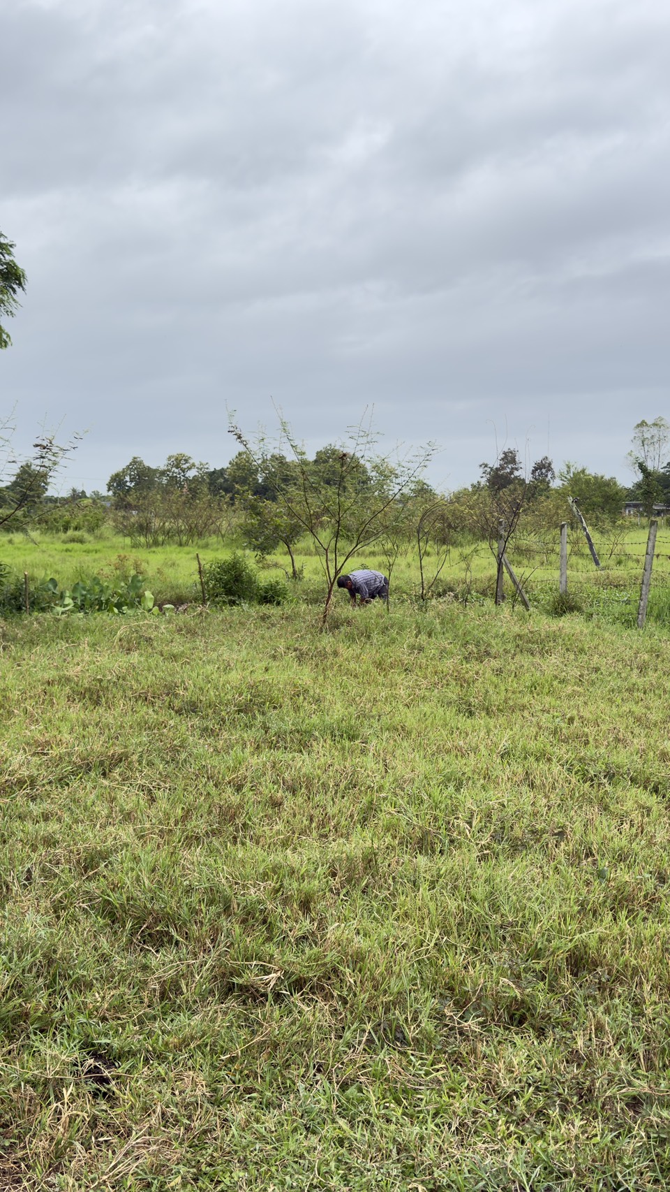Land for Sale in San Kamphaeng Chiang Mai | 3-3-20 Rai, THB 7.5M photo 5