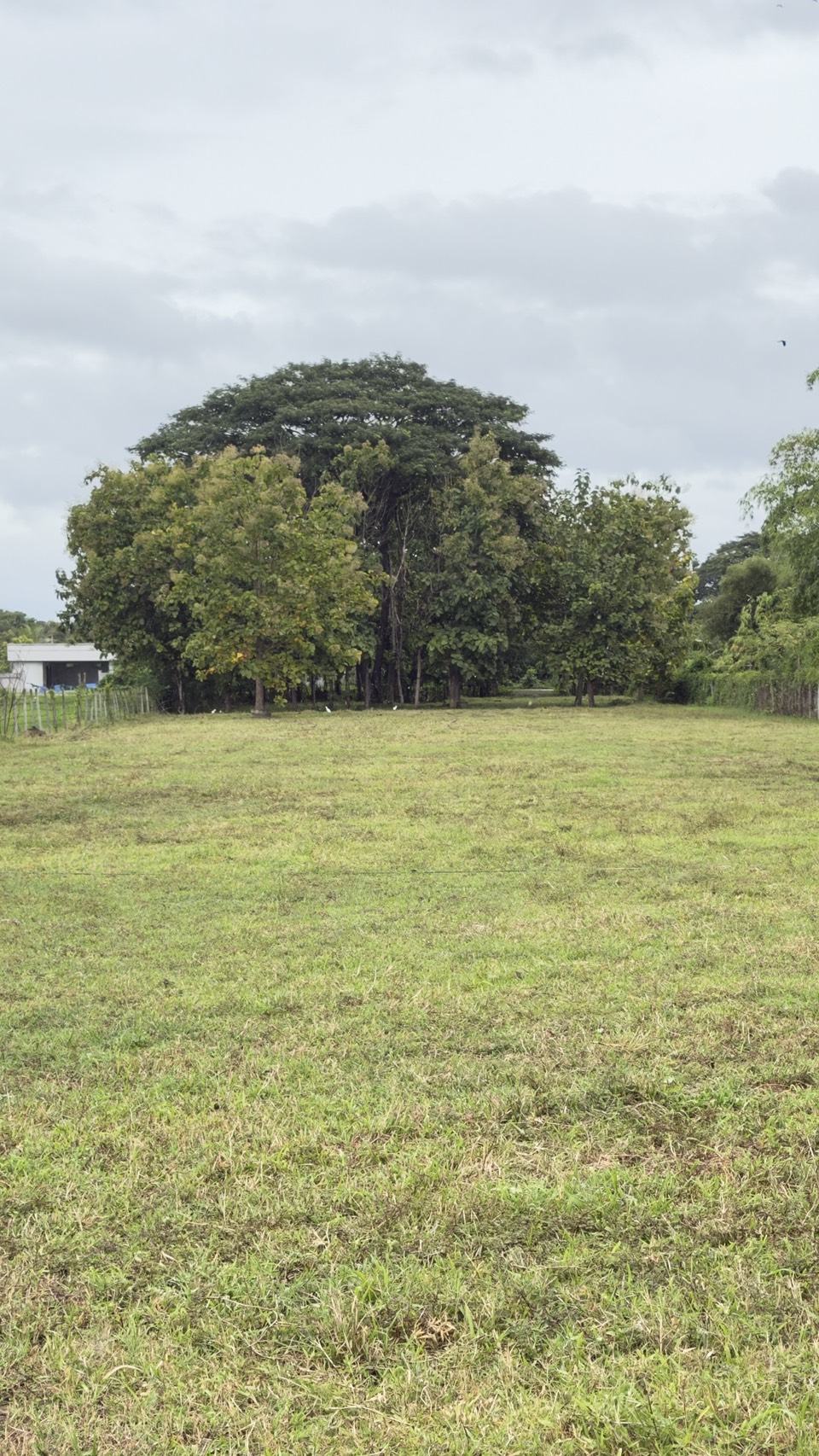 Land for Sale in San Kamphaeng Chiang Mai | 3-3-20 Rai, THB 7.5M photo 6