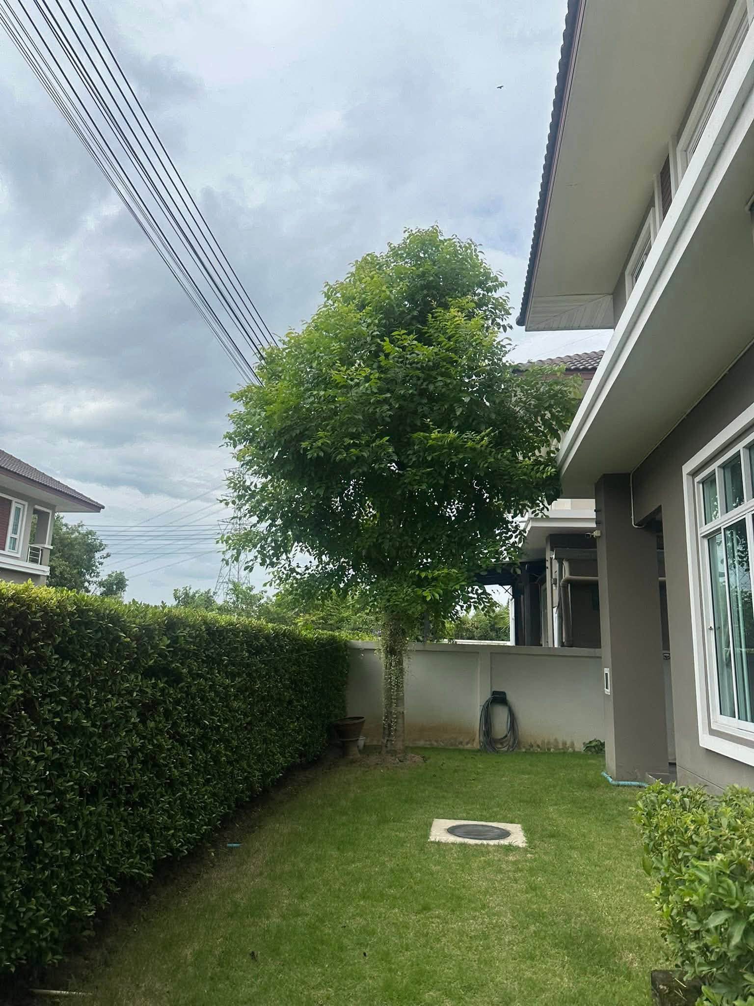 4 Bedroom House for Sale & Rent in San Kamphaeng Chiang Mai | Near UCIS photo 13