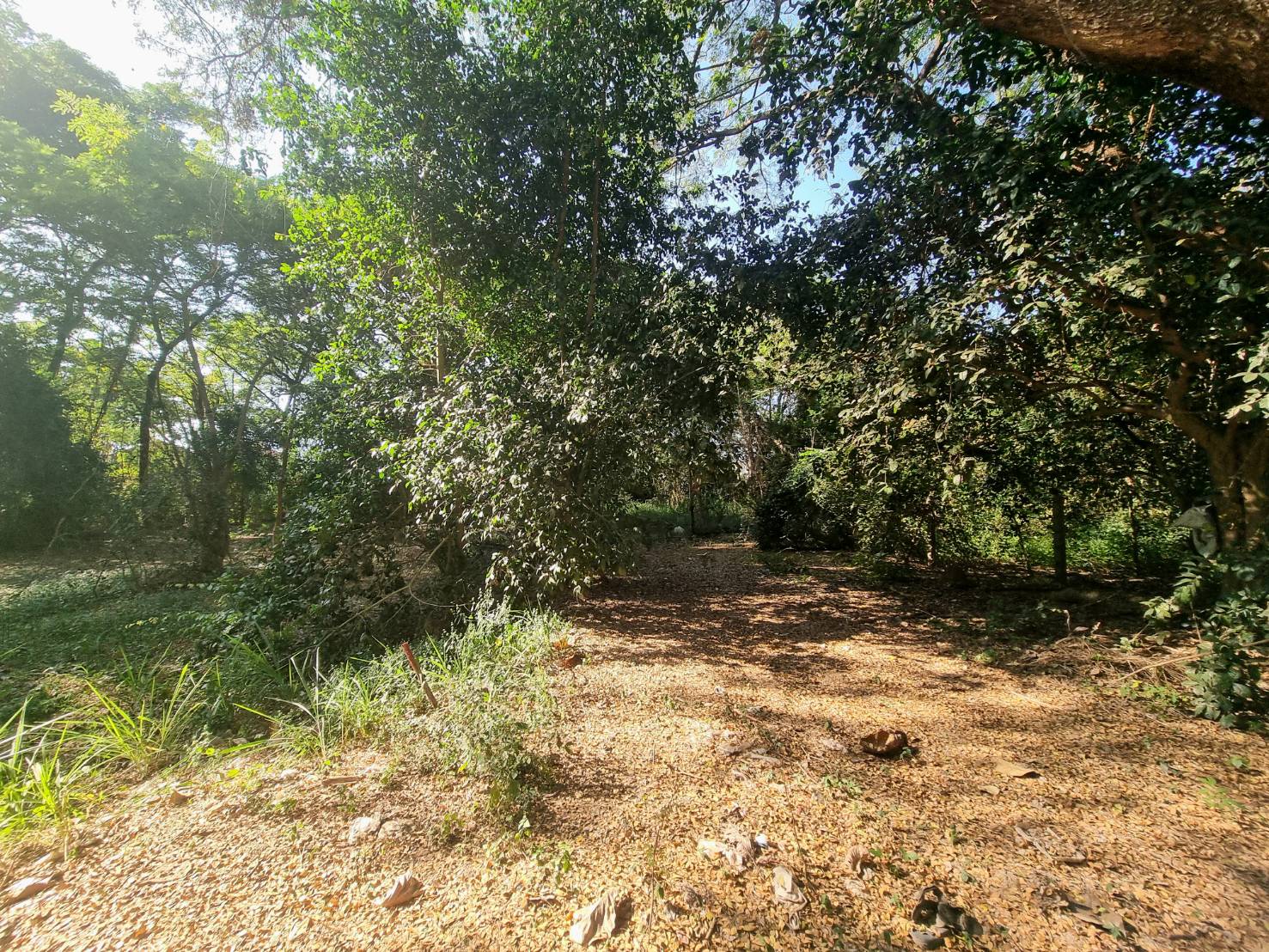 Riverside Land for Sale Near Central Chiang Mai | 235 Sq.Wah, THB 4.7M photo 4