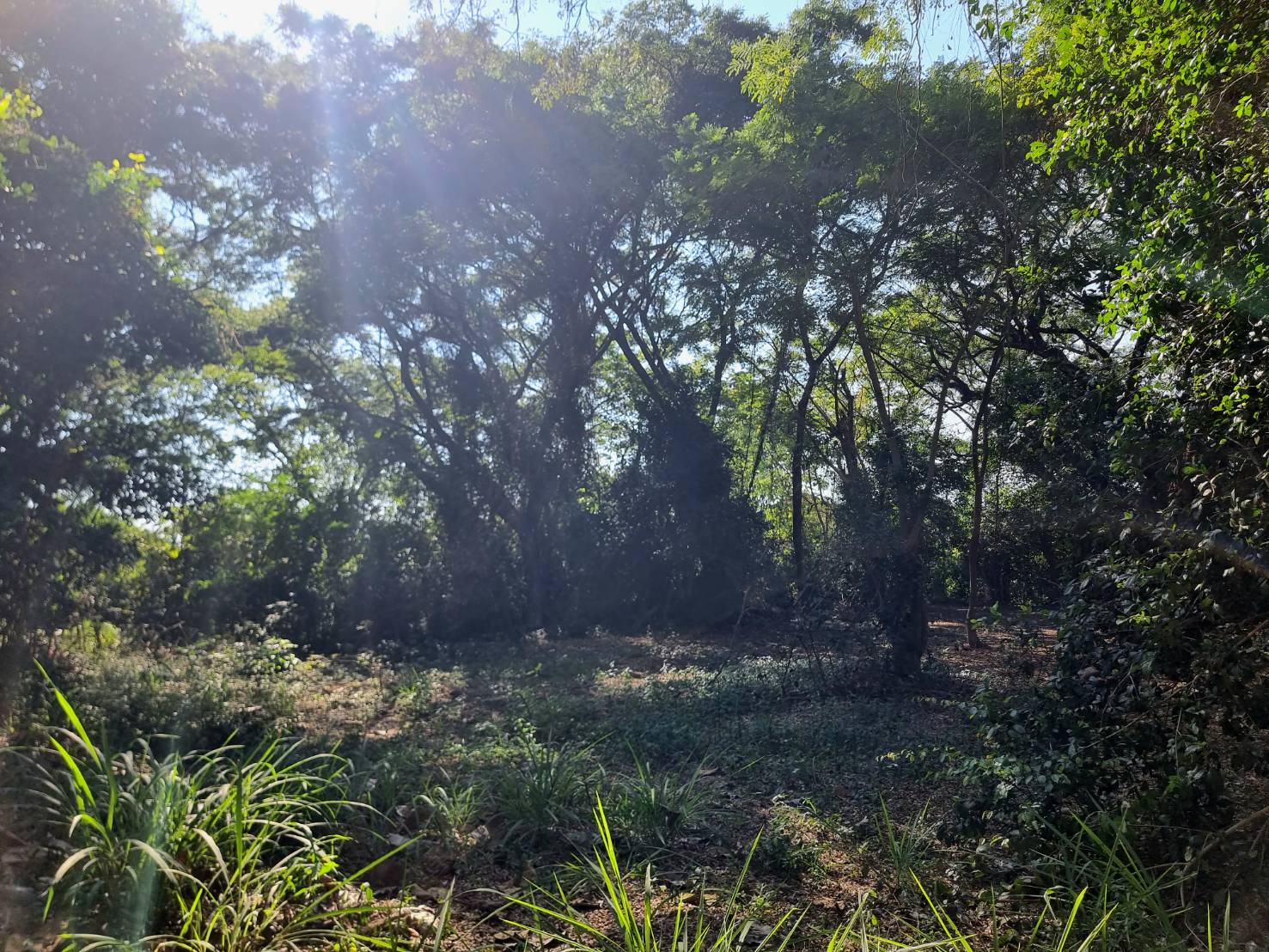 Riverside Land for Sale Near Central Chiang Mai | 235 Sq.Wah, THB 4.7M photo 5