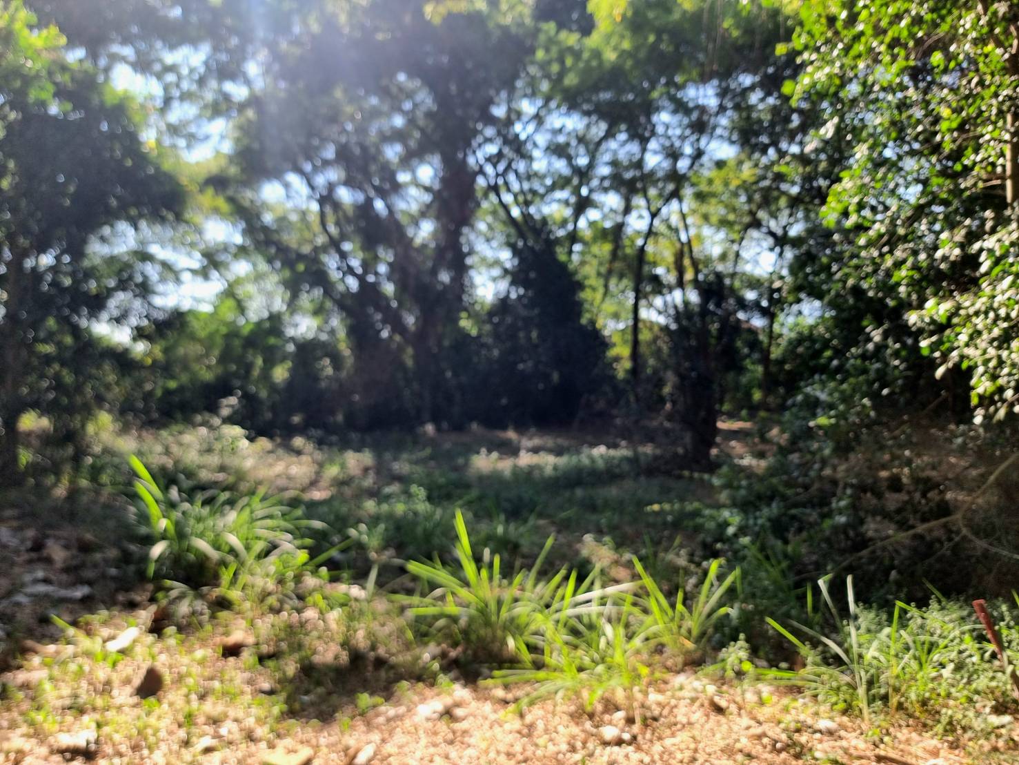 Riverside Land for Sale Near Central Chiang Mai | 235 Sq.Wah, THB 4.7M photo 2