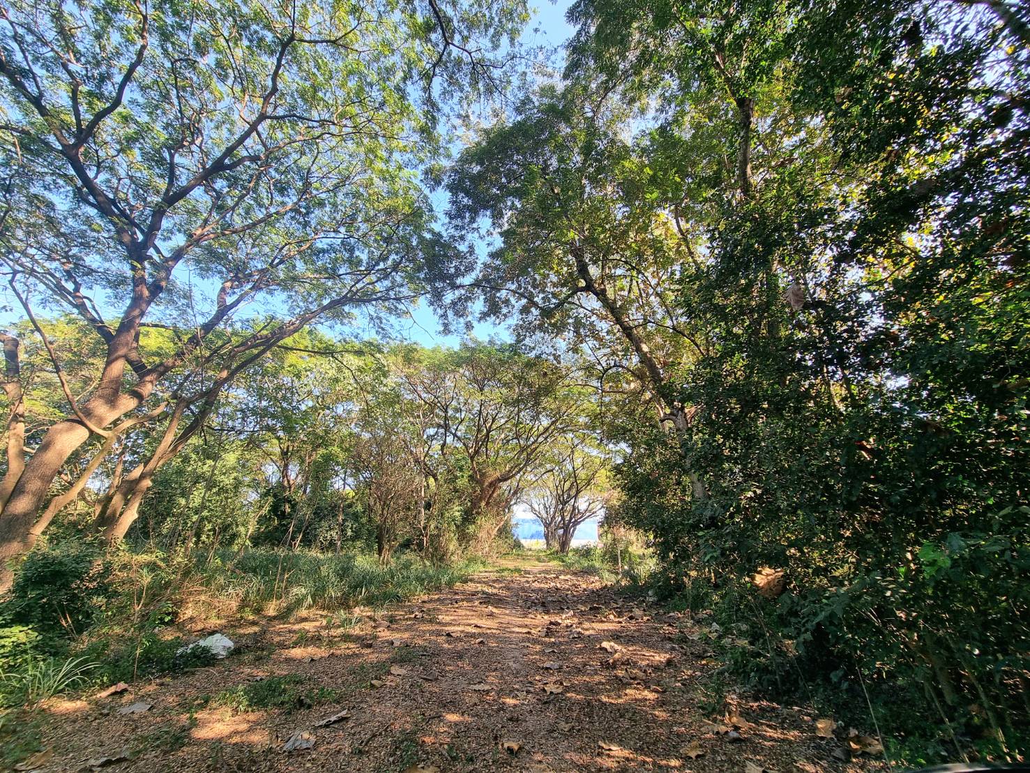 Riverside Land for Sale Near Central Chiang Mai | 235 Sq.Wah, THB 4.7M photo 7