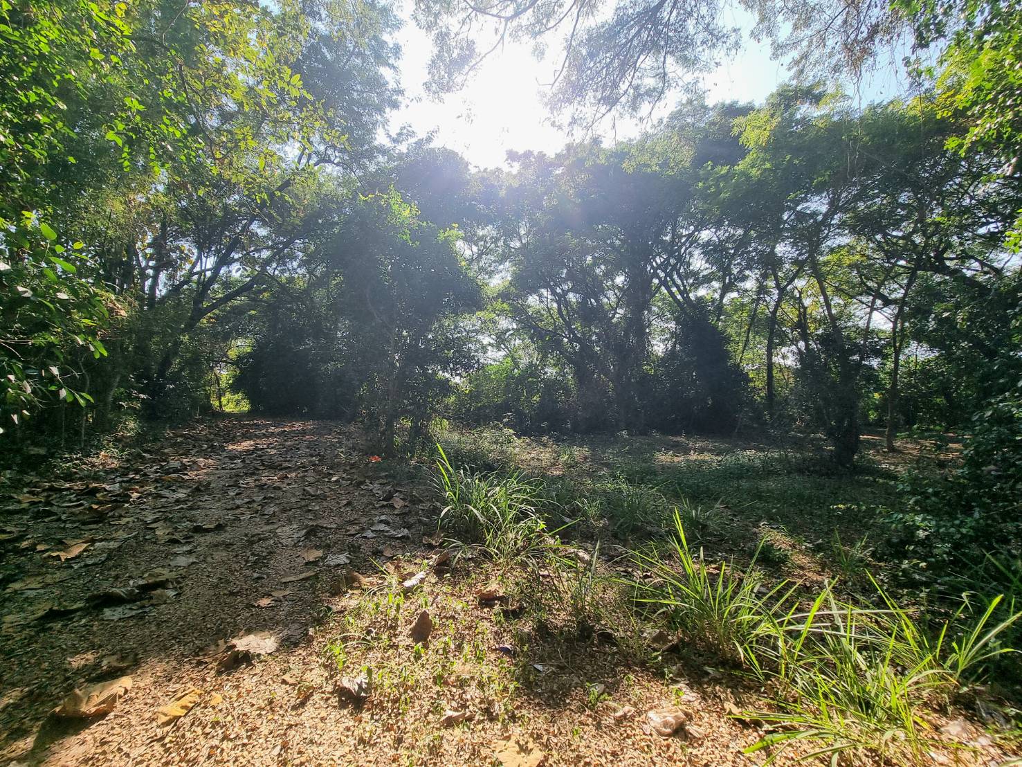 Riverside Land for Sale Near Central Chiang Mai | 235 Sq.Wah, THB 4.7M photo 6