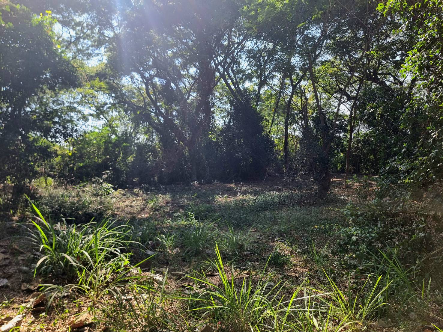Riverside Land for Sale Near Central Chiang Mai | 235 Sq.Wah, THB 4.7M photo 3