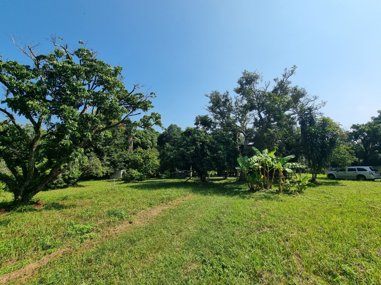 Teak House & Orchard Estate for Sale in Doi Saket Chiang Mai | 7.8 Rai photo 12