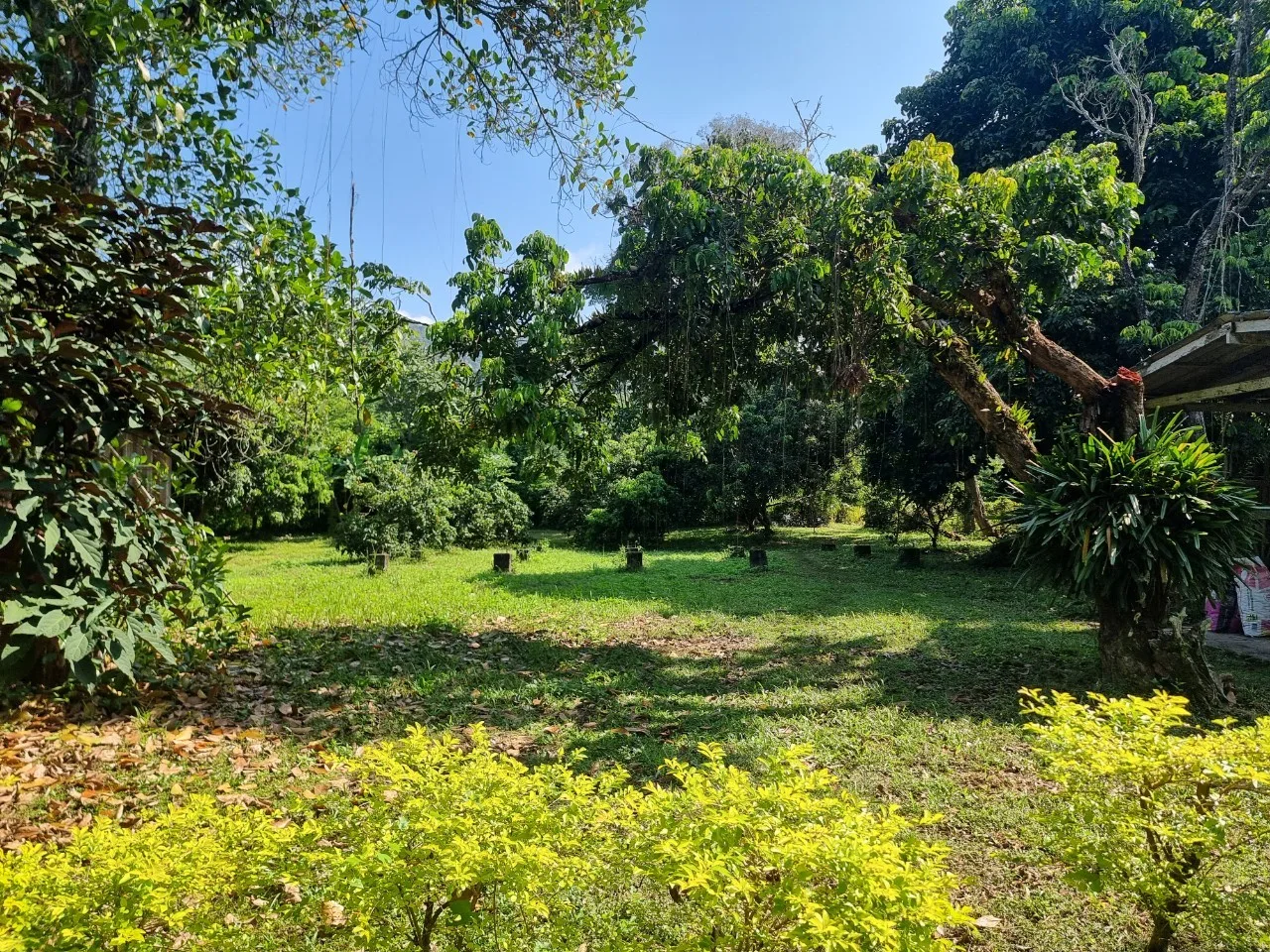 Teak House & Orchard Estate for Sale in Doi Saket Chiang Mai | 7.8 Rai photo 19