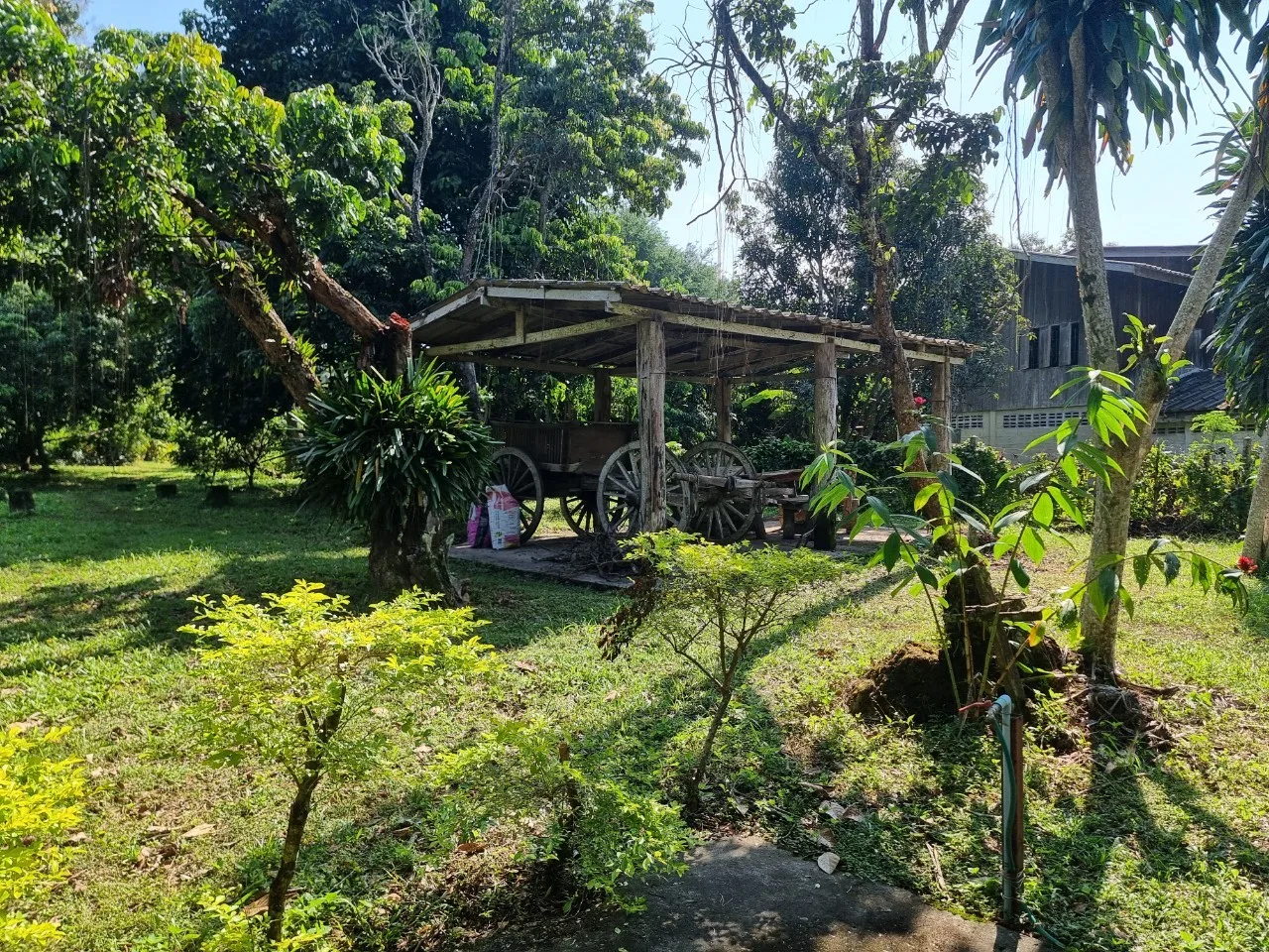 Teak House & Orchard Estate for Sale in Doi Saket Chiang Mai | 7.8 Rai photo 20