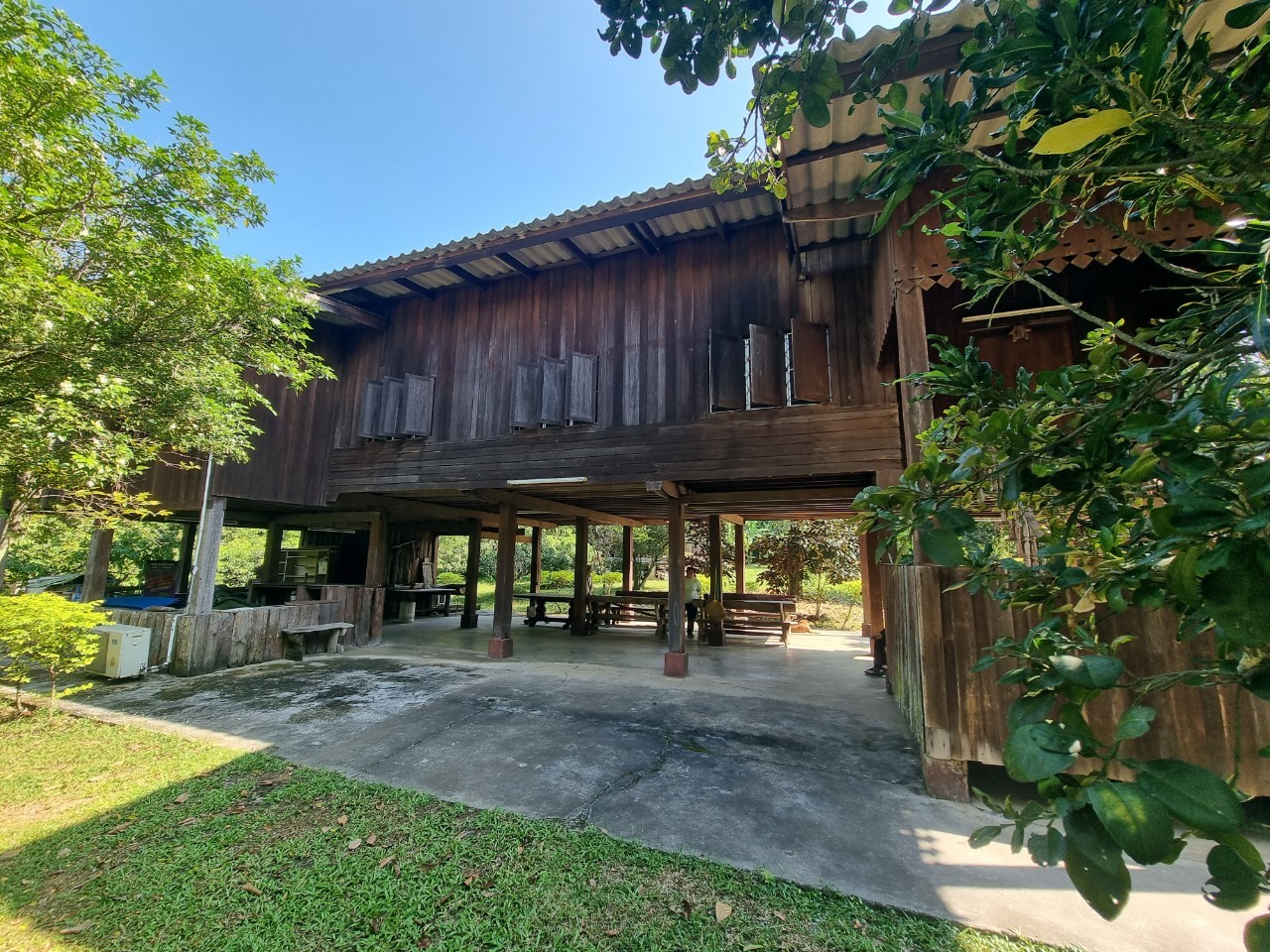 Teak House & Orchard Estate for Sale in Doi Saket Chiang Mai | 7.8 Rai photo 2
