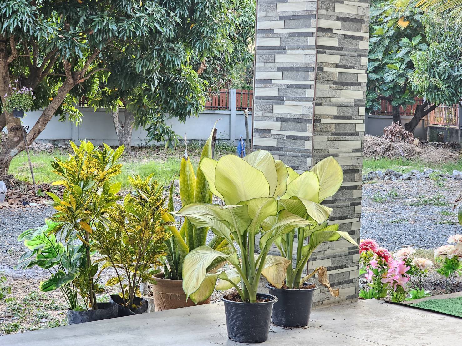 Garden House for Rent in Suthep Chiang Mai | 325 Sq.Wah, THB 27K photo 27
