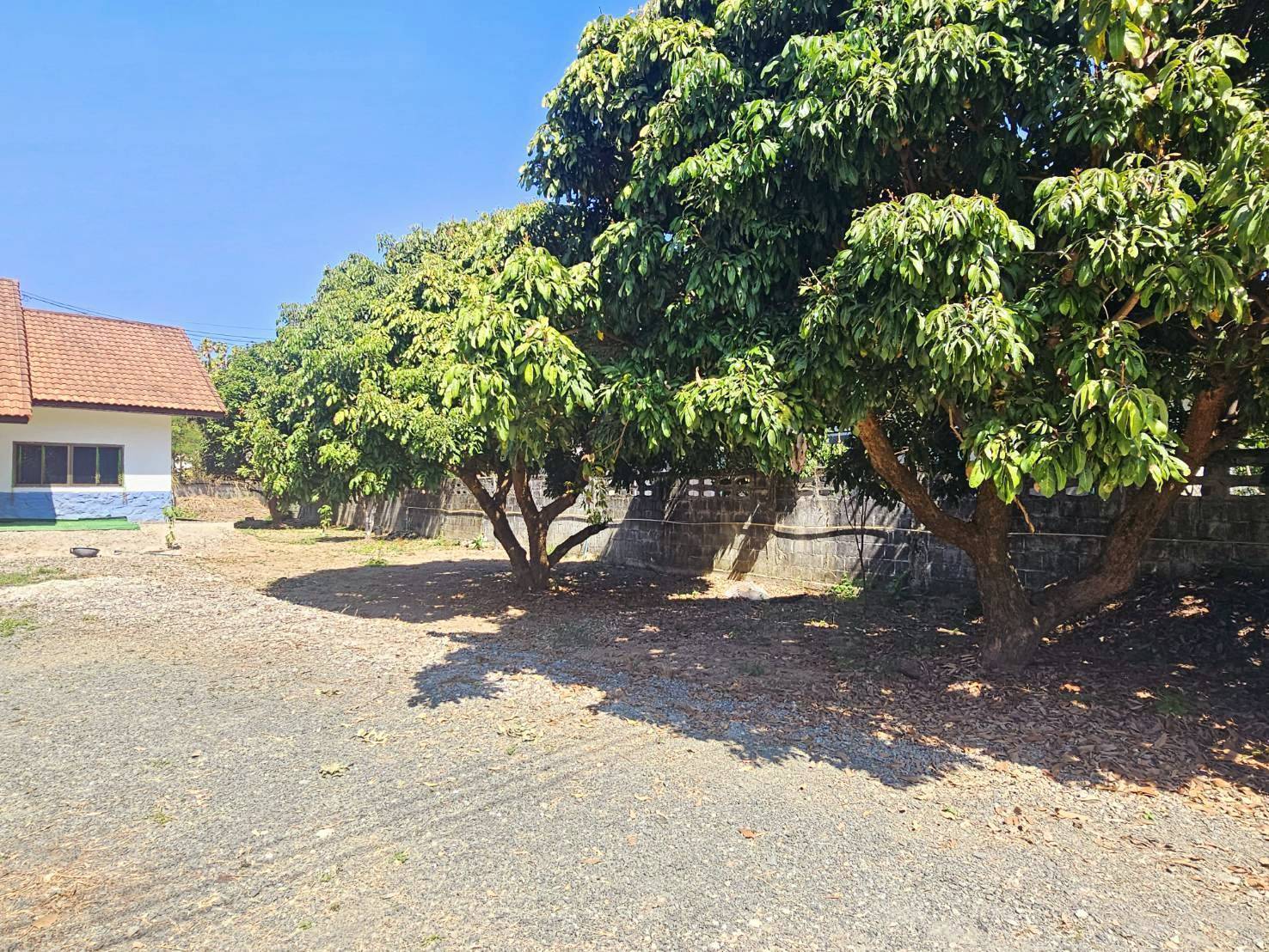 Garden House for Rent in Suthep Chiang Mai | 325 Sq.Wah, THB 27K photo 22