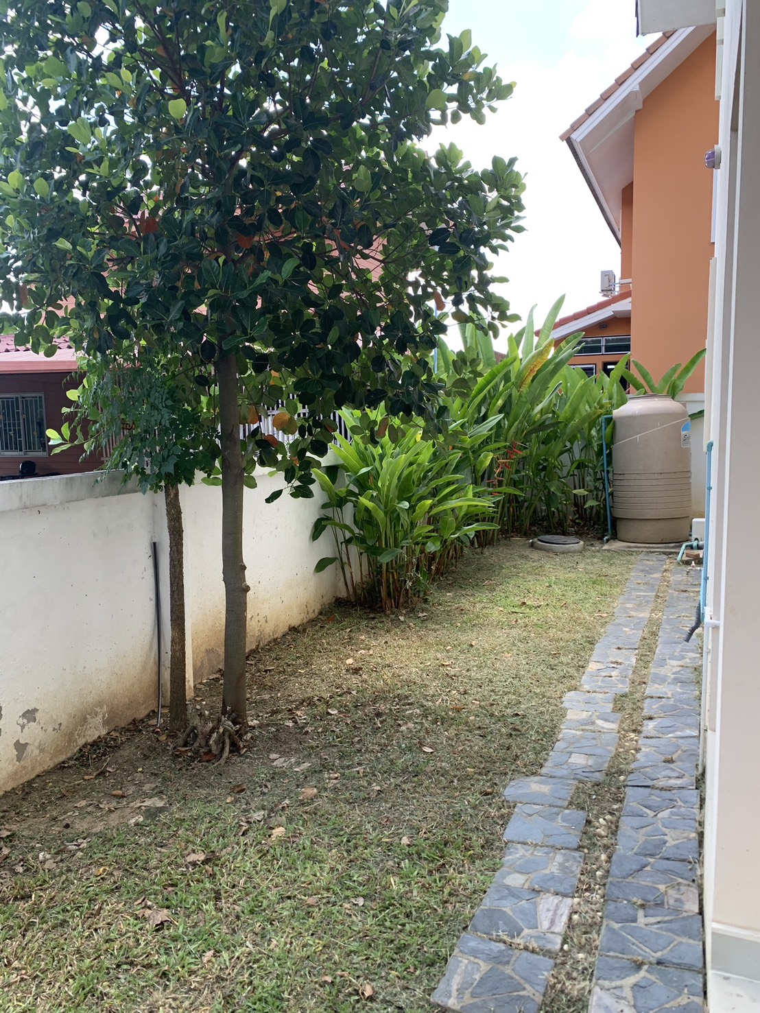 3 Bedroom House for Rent in Mae Hia Chiang Mai | THB 20K photo 20
