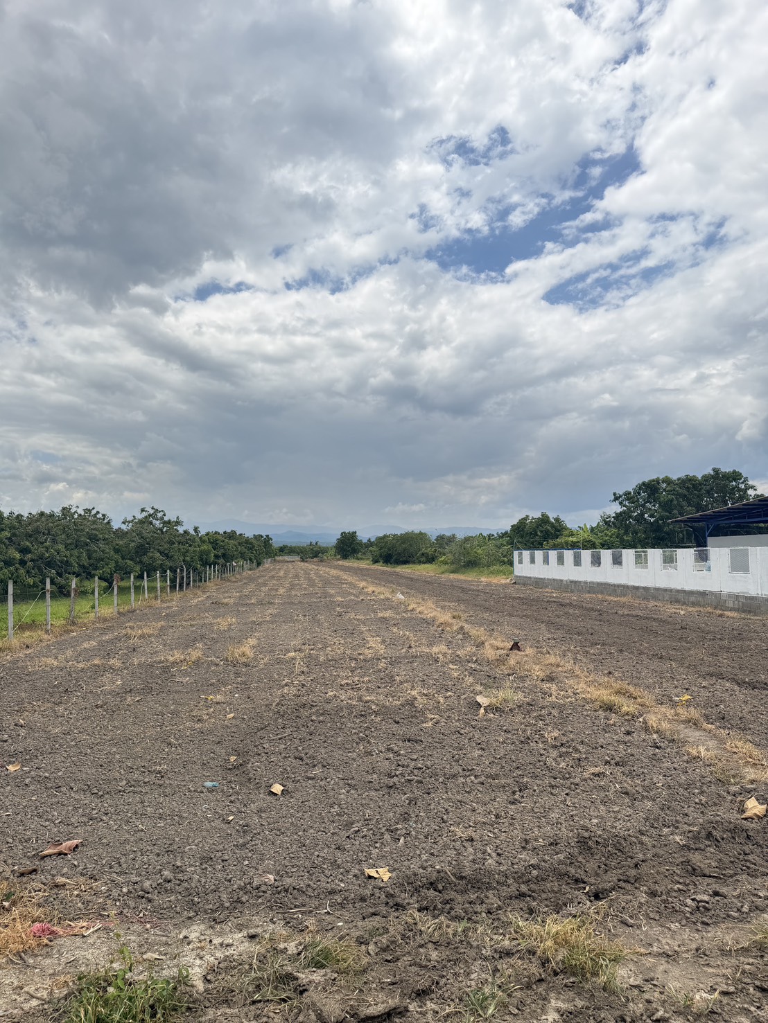 Land for Sale in Song Khwae Doi Lo Chiang Mai | 2.3 Rai, THB 1,850/Sq.Wah photo 2