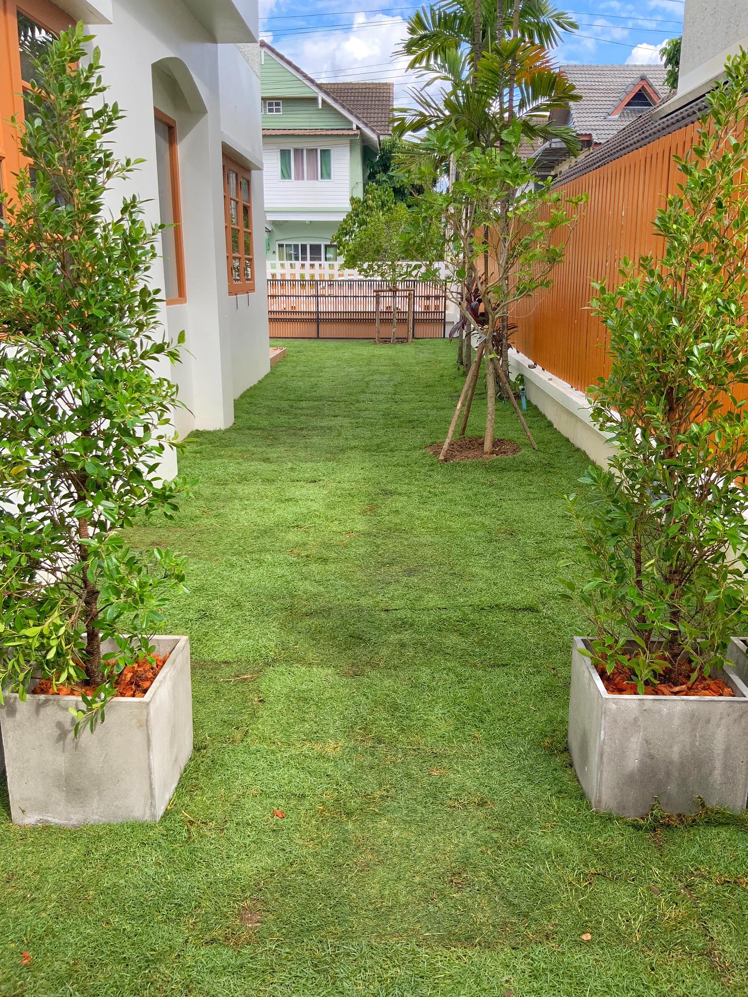 Modern Muji House for Sale & Rent in San Sai Chiang Mai | Near Maejo photo 16