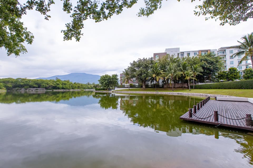 North 8 Chiang Mai Condo for Sale & Rent | 1BR Garden View photo 9