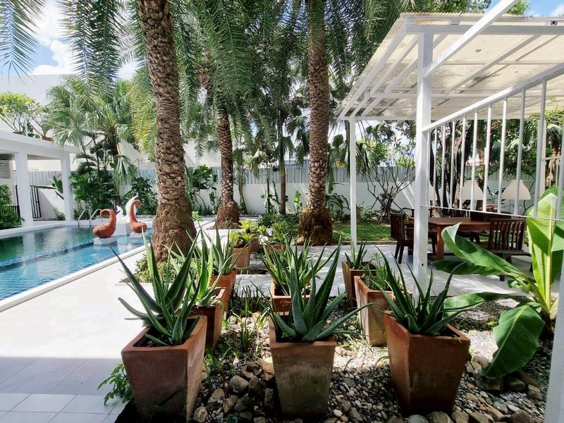 Large Pool Villa for Rent in Nong Khwai Hang Dong | 253 Sq.Wah photo 19