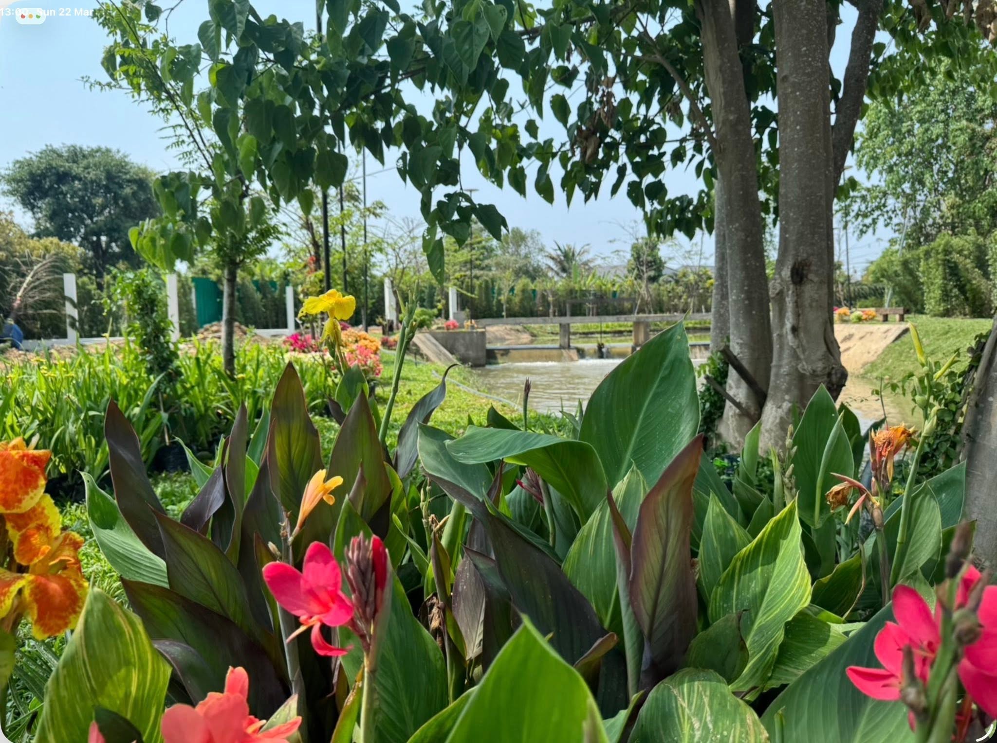 Canal-Front Land for Sale in Saraphi Chiang Mai | 3+ Rai, 218m Waterfront photo 7