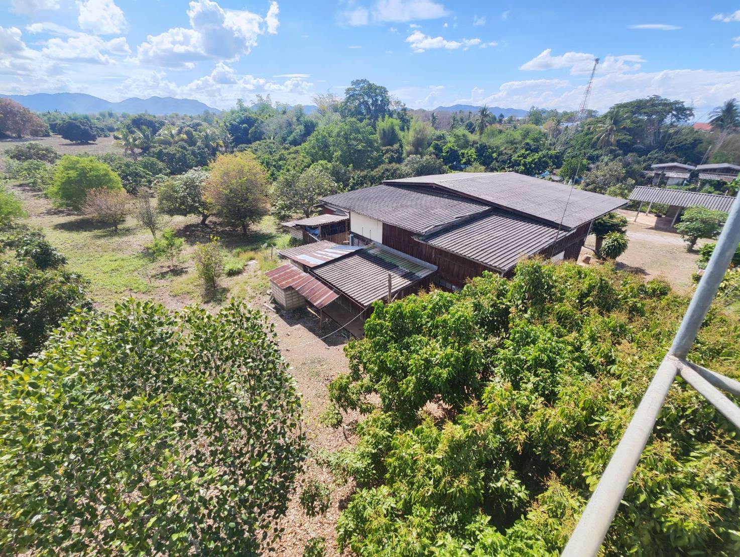 Land for Sale on Highway 106 in Li Lamphun | 6+ Rai THB 13M photo 3