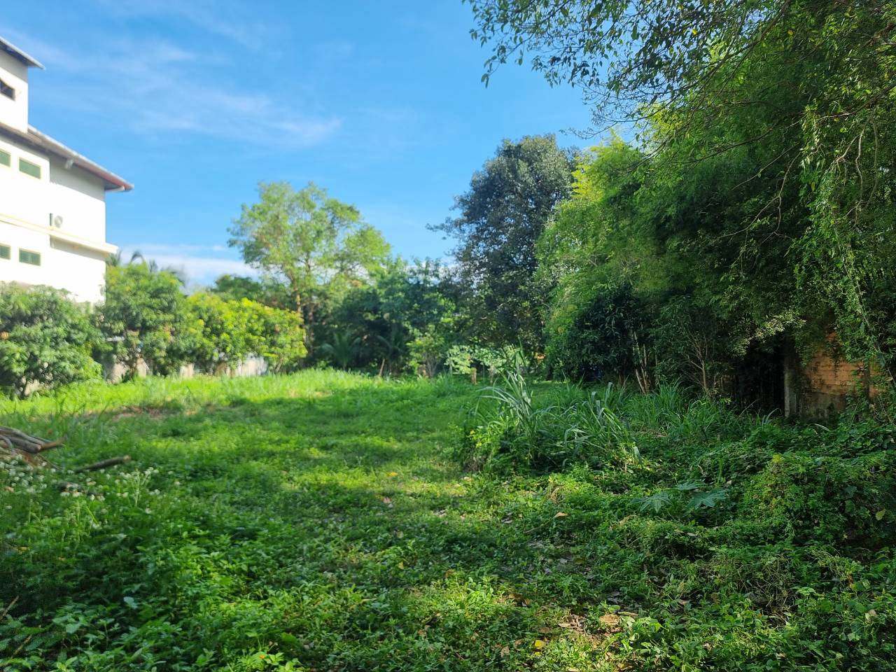 Ping Riverfront Land for Sale in Pa Daet Chiang Mai | 433 Sq.Wah photo 4
