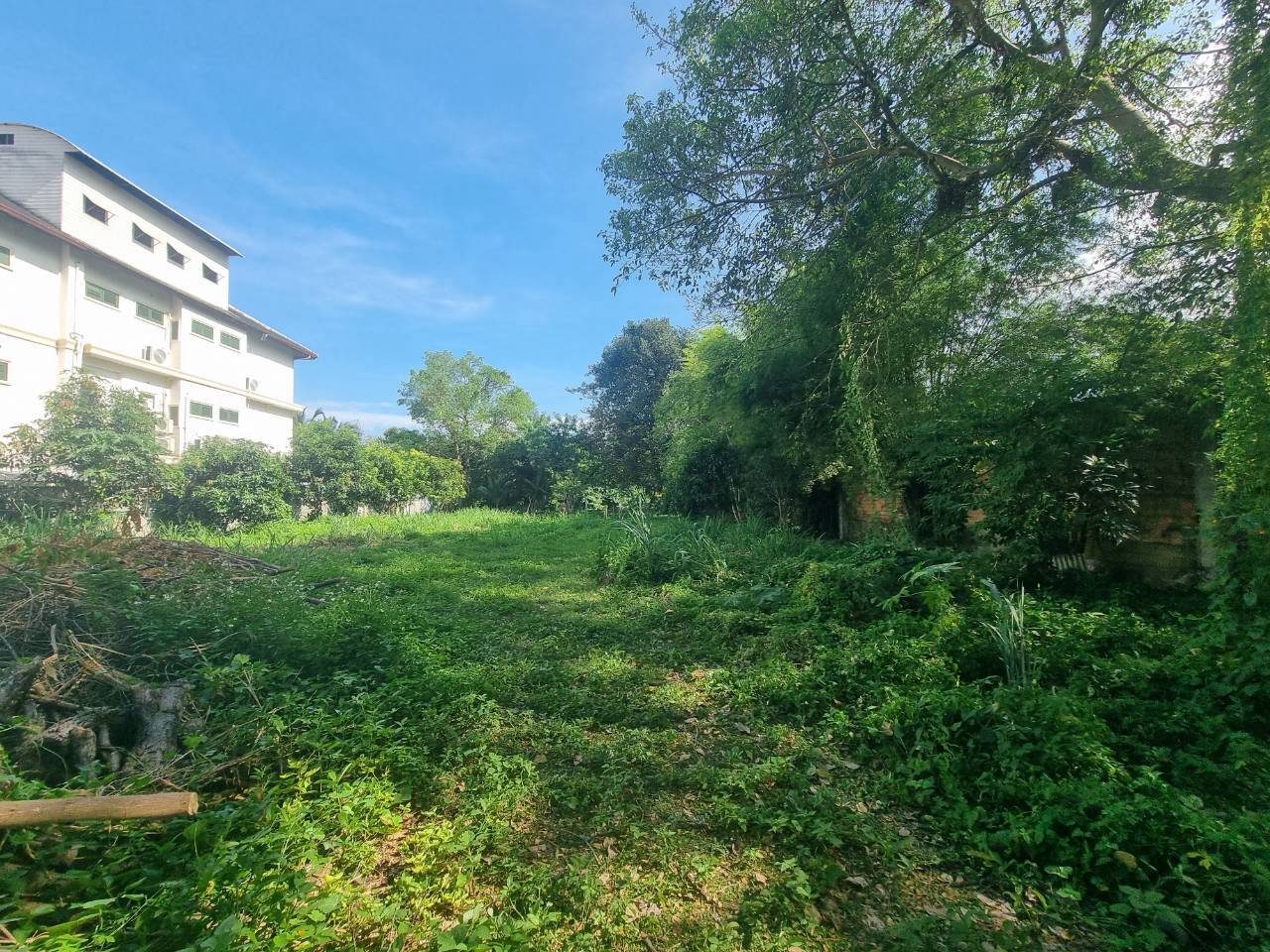 Ping Riverfront Land for Sale in Pa Daet Chiang Mai | 433 Sq.Wah photo 5