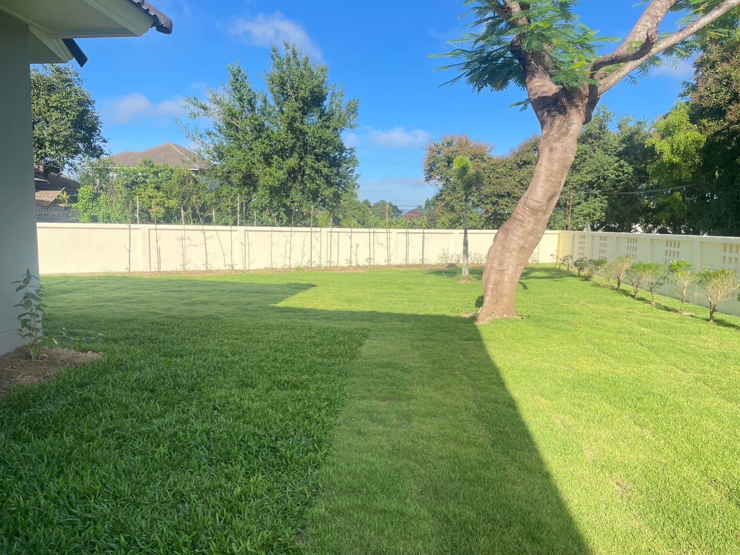 Single-Storey House for Rent in San Sai | Large Garden THB 27K photo 16