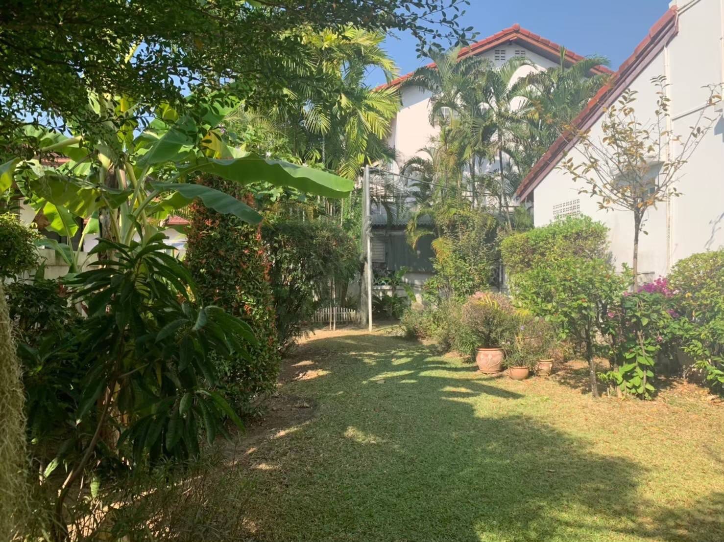 Corner House for Sale in Tha Sala Chiang Mai | 167 Sq.Wah THB 7.5M photo 11