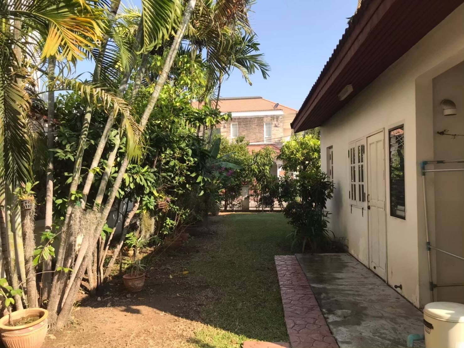 Corner House for Sale in Tha Sala Chiang Mai | 167 Sq.Wah THB 7.5M photo 10