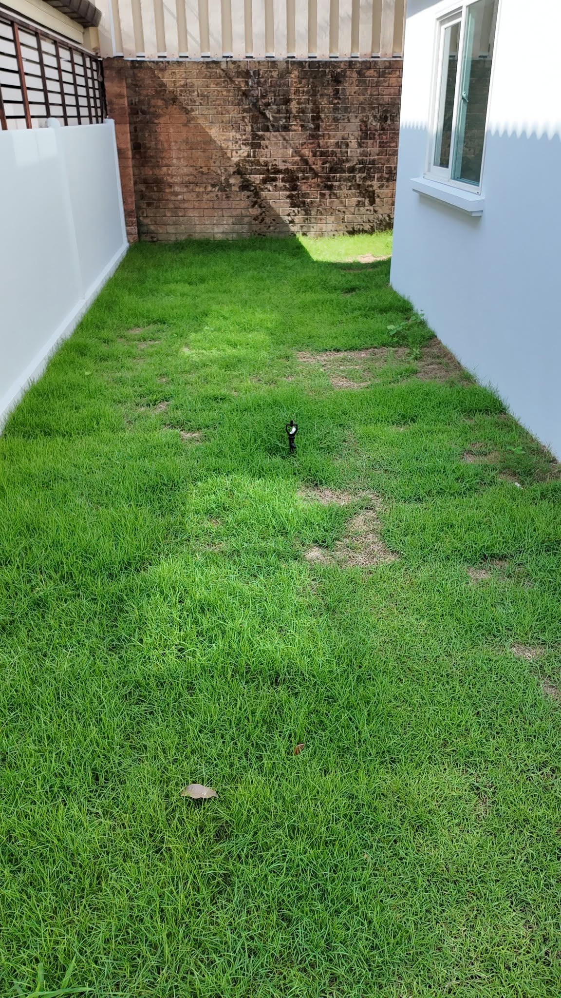 3BR House for Sale in Tha Sala Chiang Mai | 4 Min to UCIS photo 15