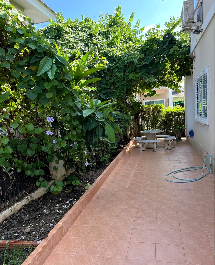 3BR House for Rent in Chai Sathan Near UCIS | THB 30K photo 23