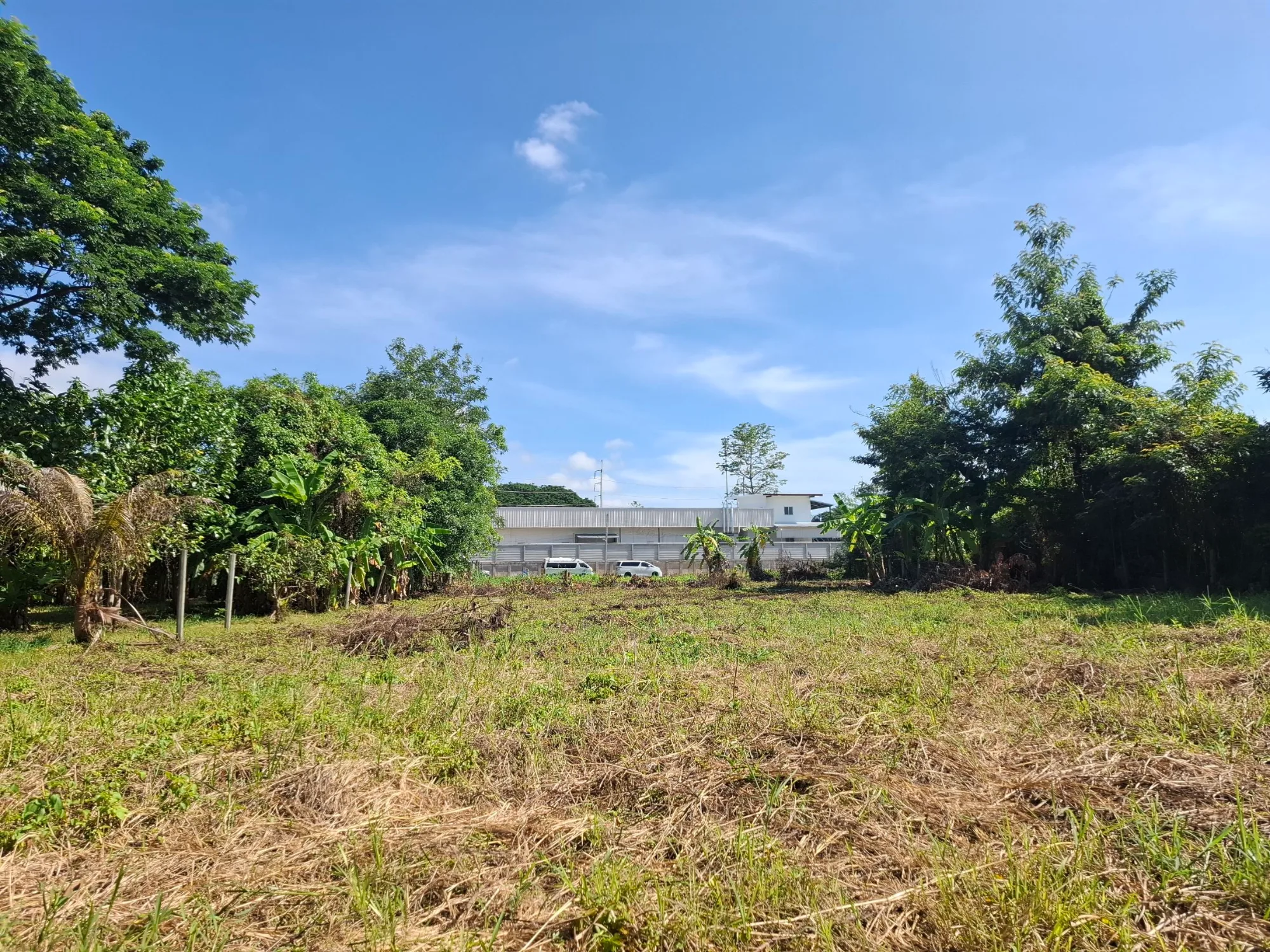Land for Sale in San Phranet San Sai | 375 Sq.Wah THB 5.625M photo 2