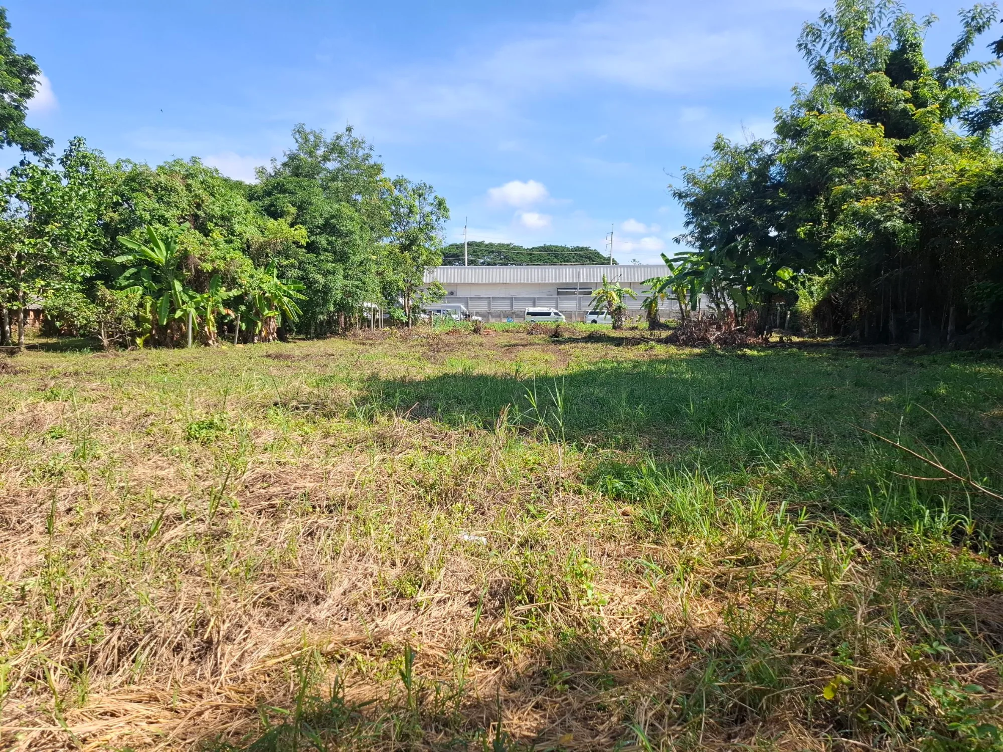 Land for Sale in San Phranet San Sai | 375 Sq.Wah THB 5.625M photo 3