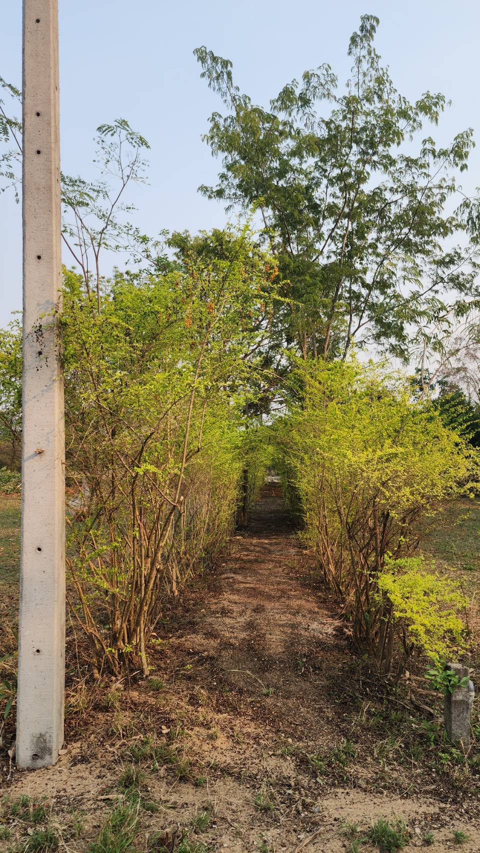 391 Sq.Wah Land for Sale Near Chom Thong Chiang Mai | THB 739K photo 4