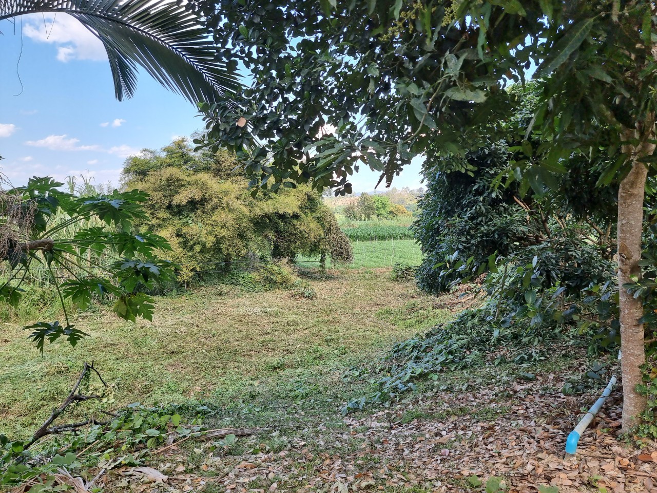 Land for Sale in Chiang Dao with Doi Luang View | THB 1.75M photo 6