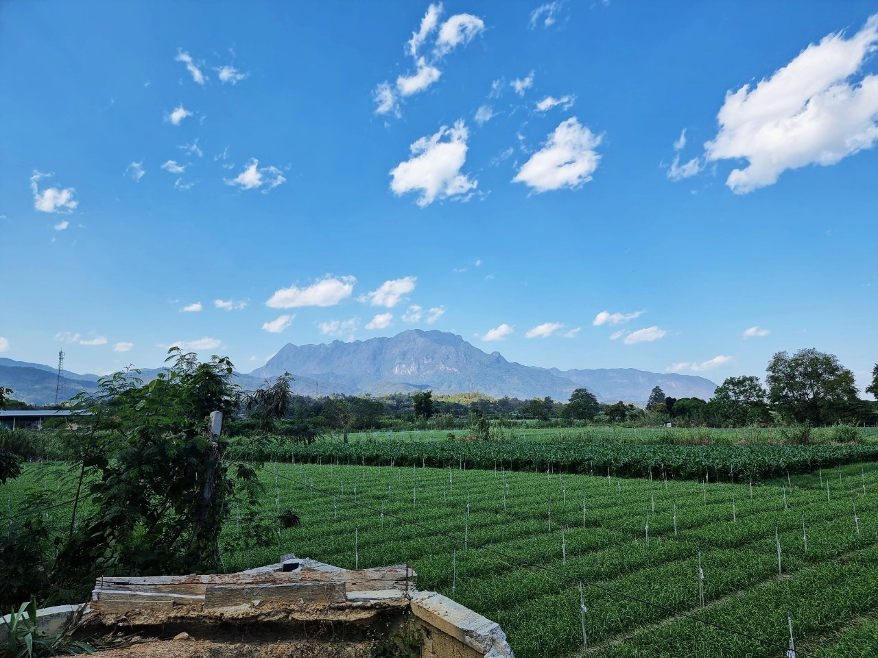 Land for Sale in Chiang Dao with Doi Luang View | THB 1.75M photo 2
