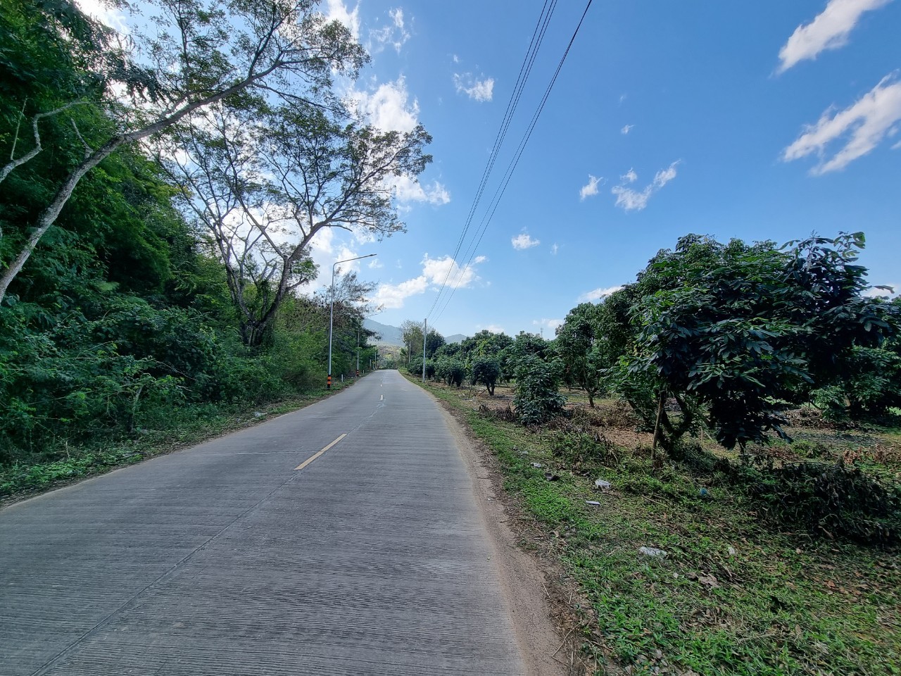 Land for Sale in Chiang Dao with Doi Luang View | THB 1.75M photo 11
