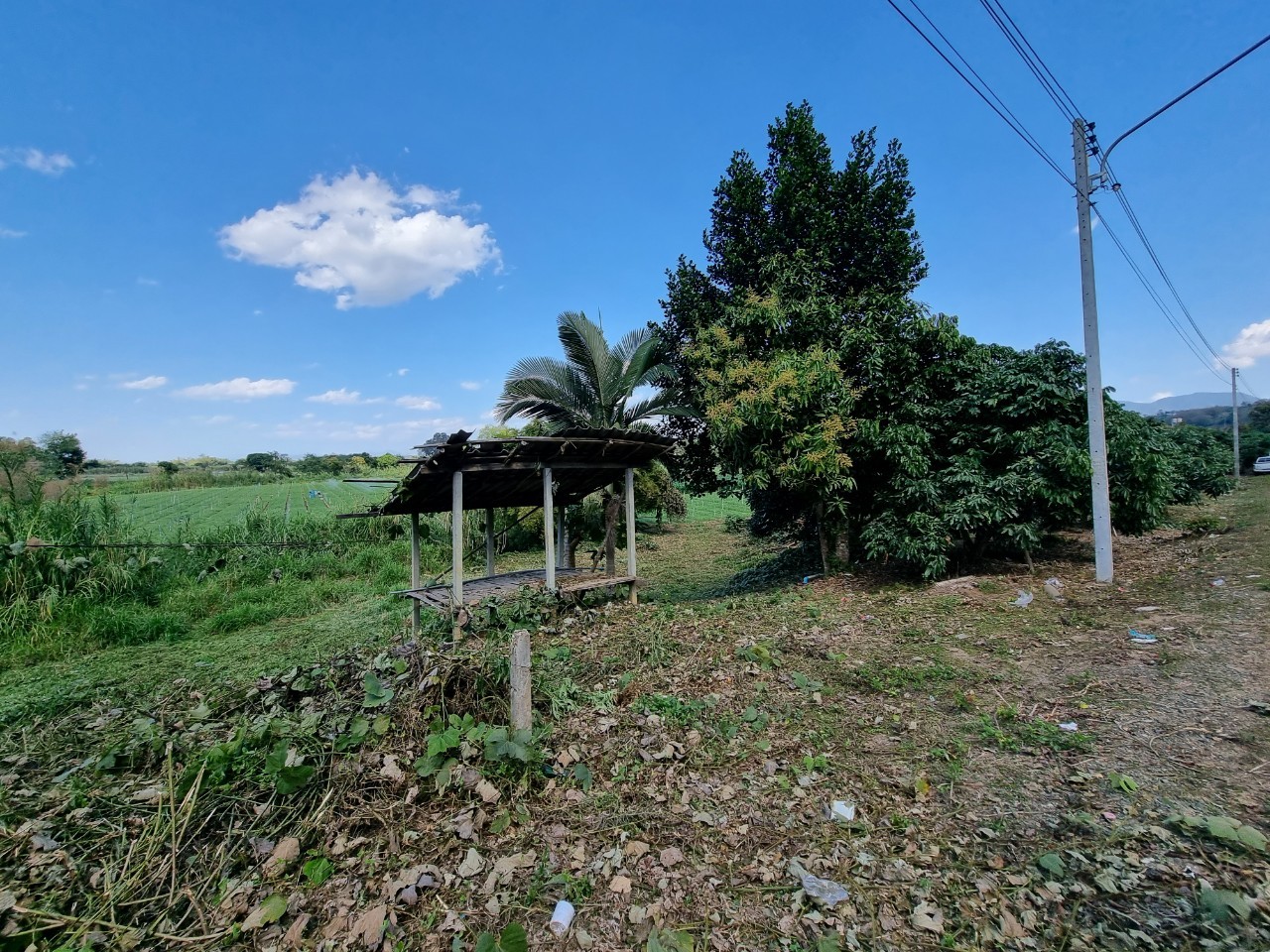 Land for Sale in Chiang Dao with Doi Luang View | THB 1.75M photo 7