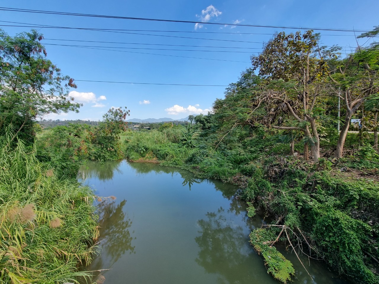 Land for Sale in Chiang Dao with Doi Luang View | THB 1.75M photo 4