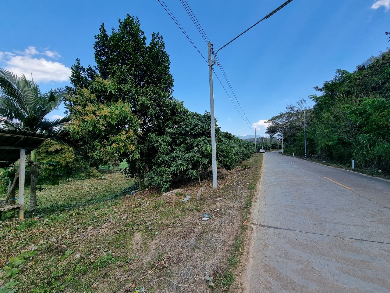 Land for Sale in Chiang Dao with Doi Luang View | THB 1.75M photo 5