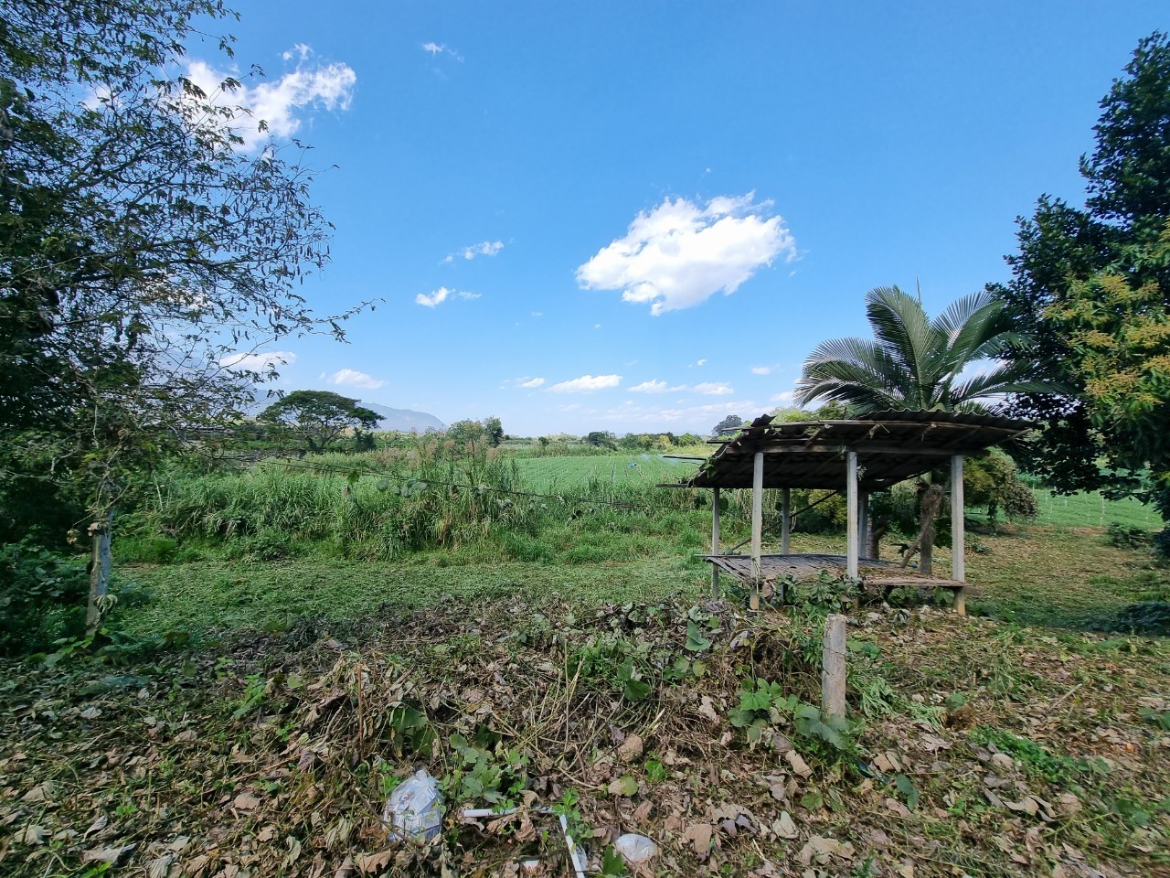 Land for Sale in Chiang Dao with Doi Luang View | THB 1.75M photo 8