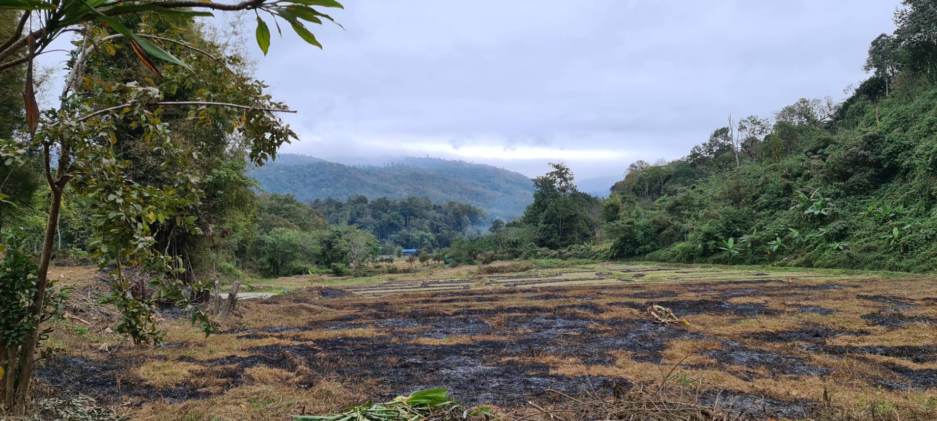 11+ Rai Mountain Land for Sale in Samoeng Chiang Mai | THB 6.7M photo 5