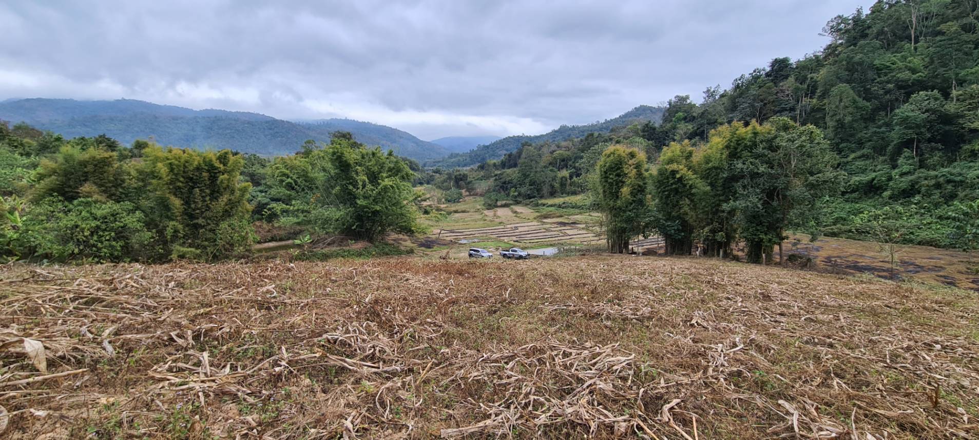 11+ Rai Mountain Land for Sale in Samoeng Chiang Mai | THB 6.7M photo 6