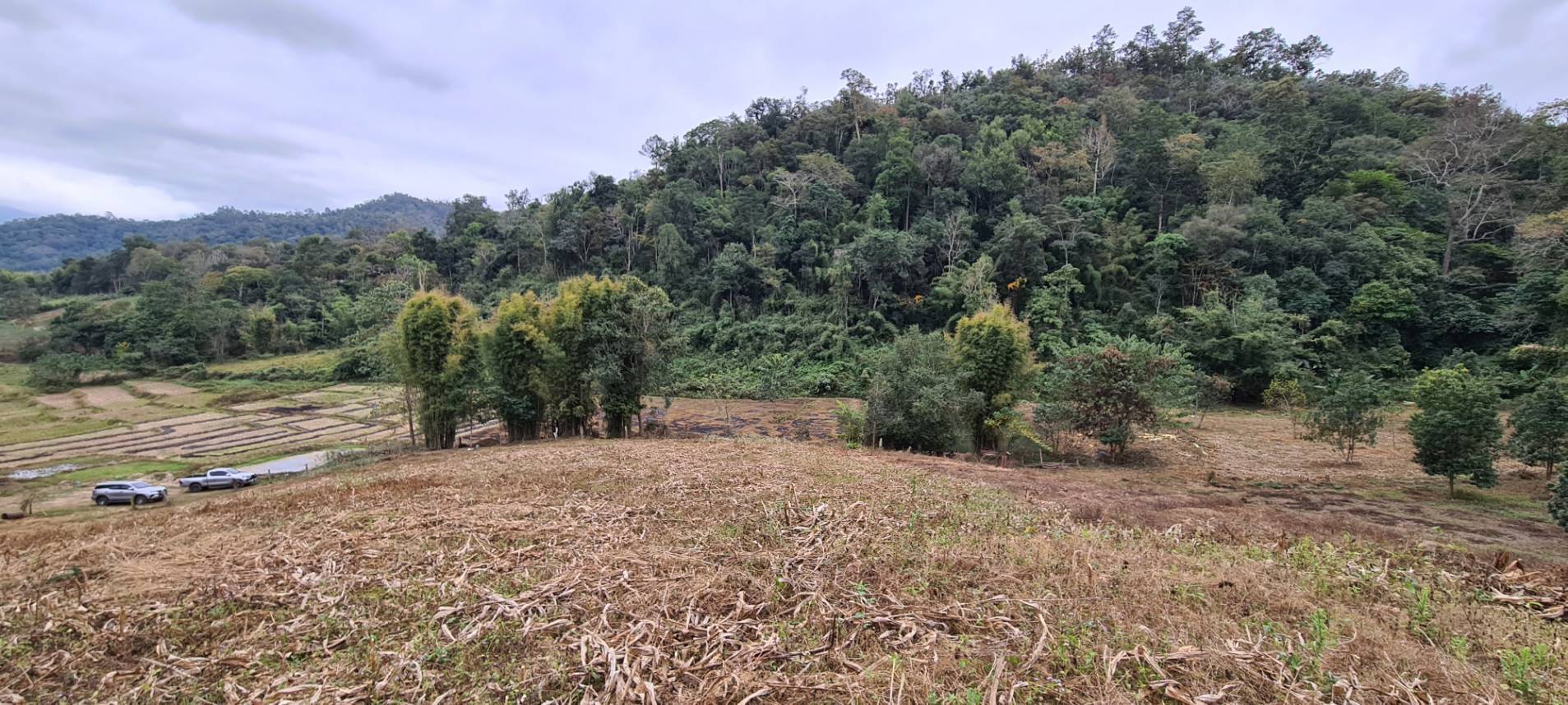 11+ Rai Mountain Land for Sale in Samoeng Chiang Mai | THB 6.7M photo 7