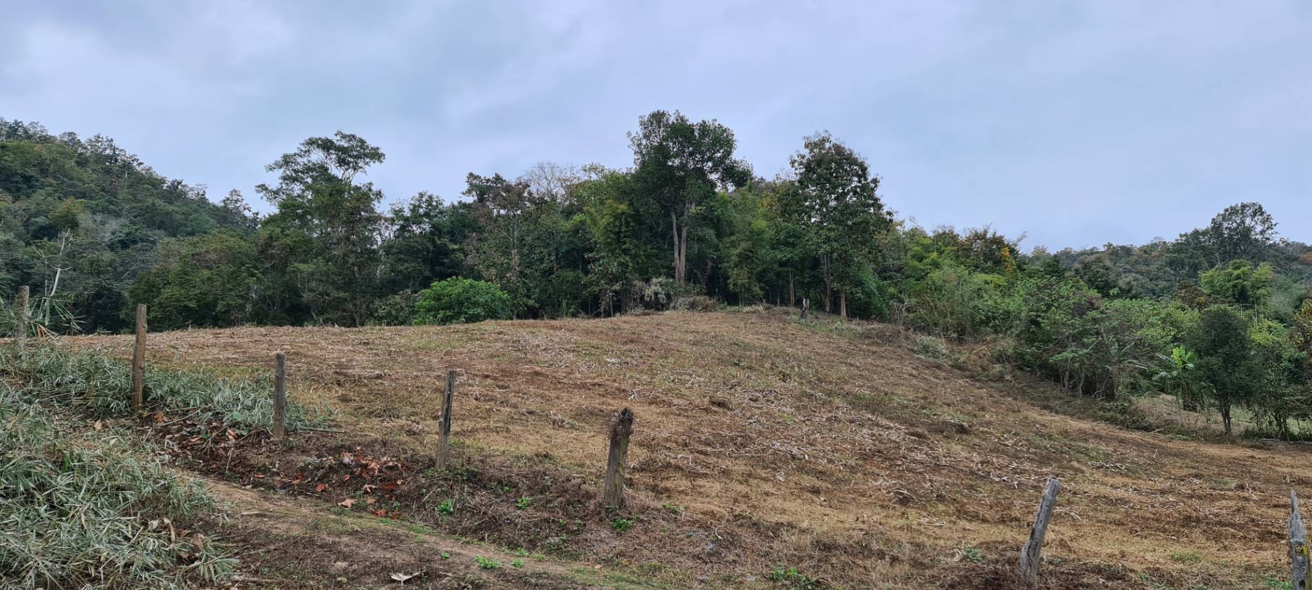 11+ Rai Mountain Land for Sale in Samoeng Chiang Mai | THB 6.7M photo 4