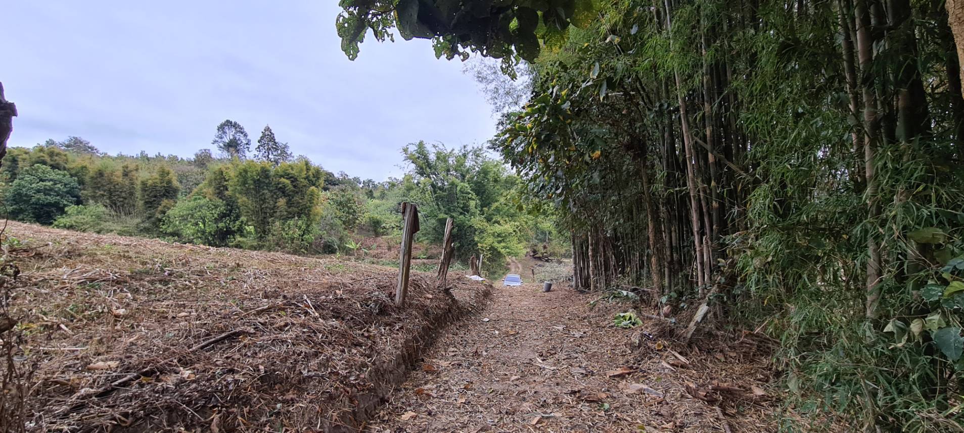 11+ Rai Mountain Land for Sale in Samoeng Chiang Mai | THB 6.7M photo 8