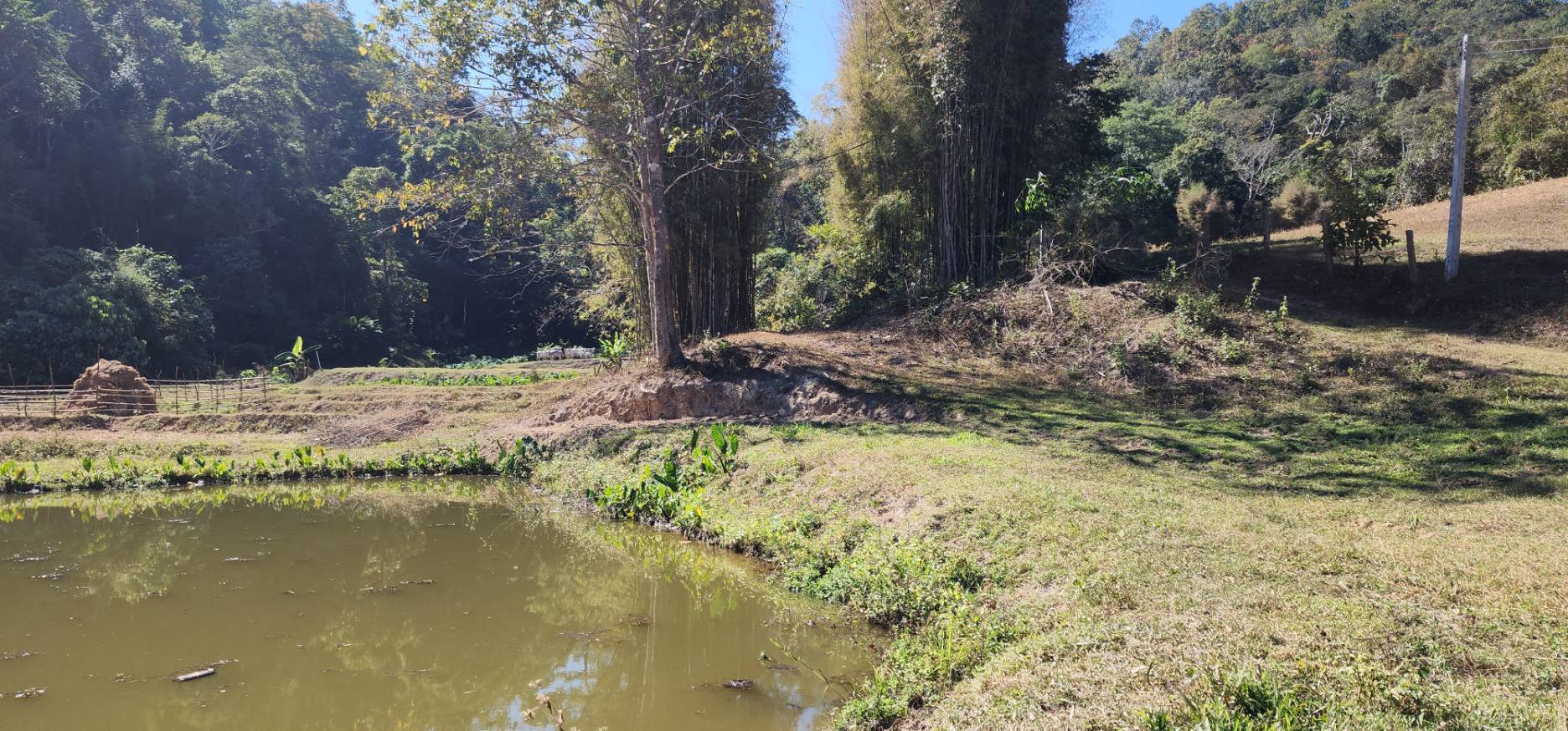 11+ Rai Mountain Land for Sale in Samoeng Chiang Mai | THB 6.7M photo 3