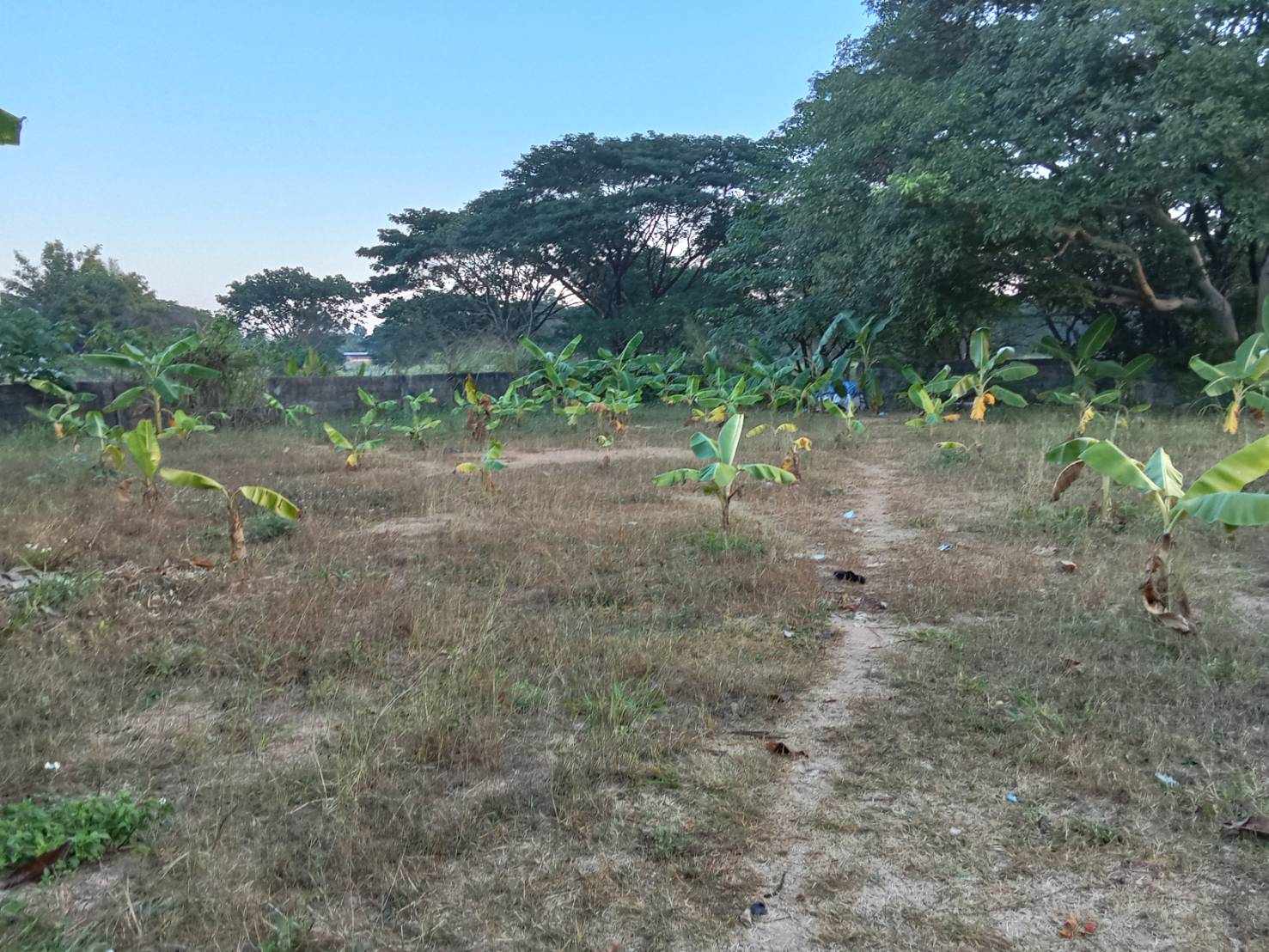 Land for Sale in Pa Daet Chiang Mai | 198 Sq.Wah THB 4.356M photo 2