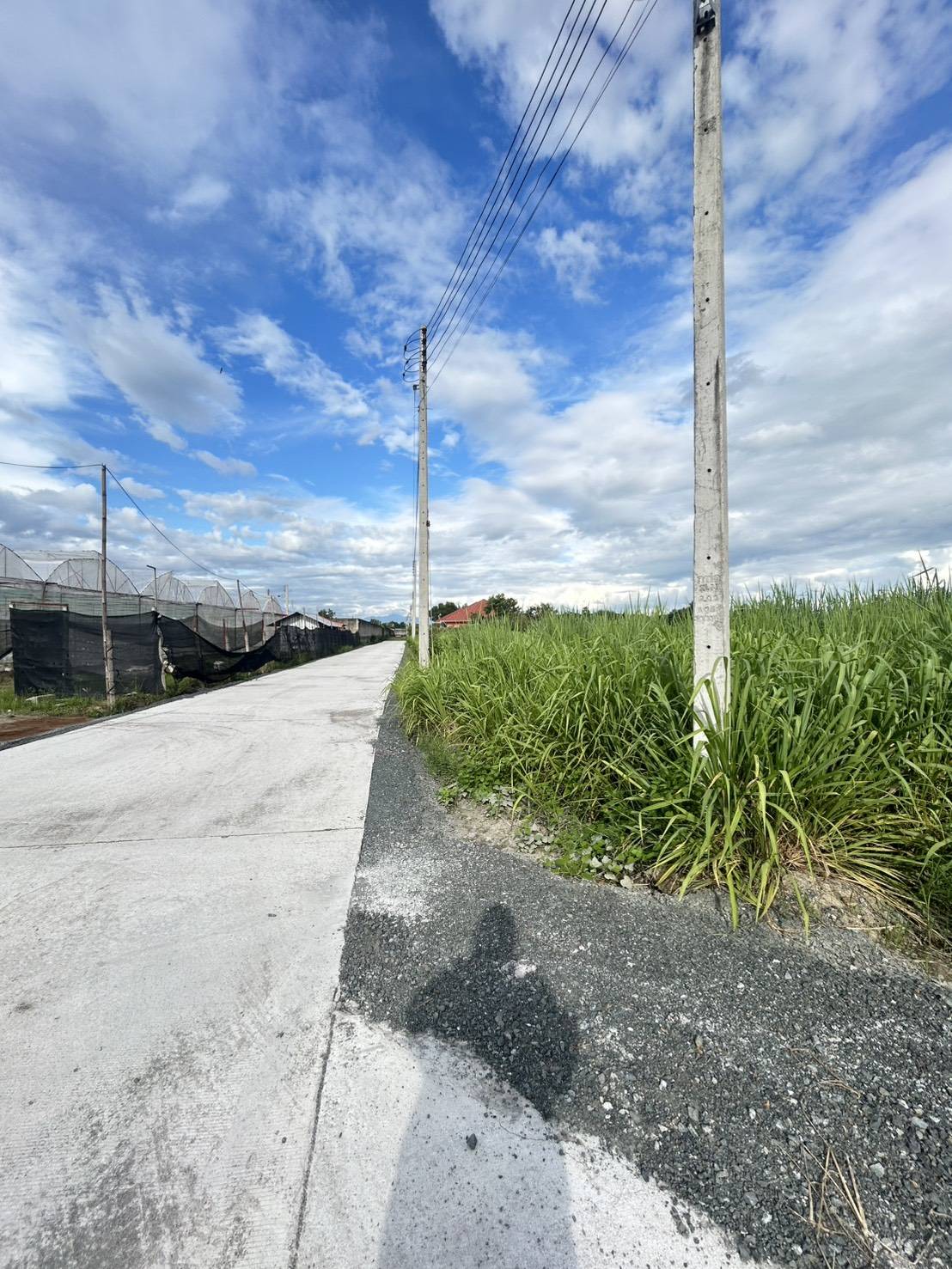 Filled Land for Sale in San Phranet San Sai | THB 18K/Sq.Wah photo 6