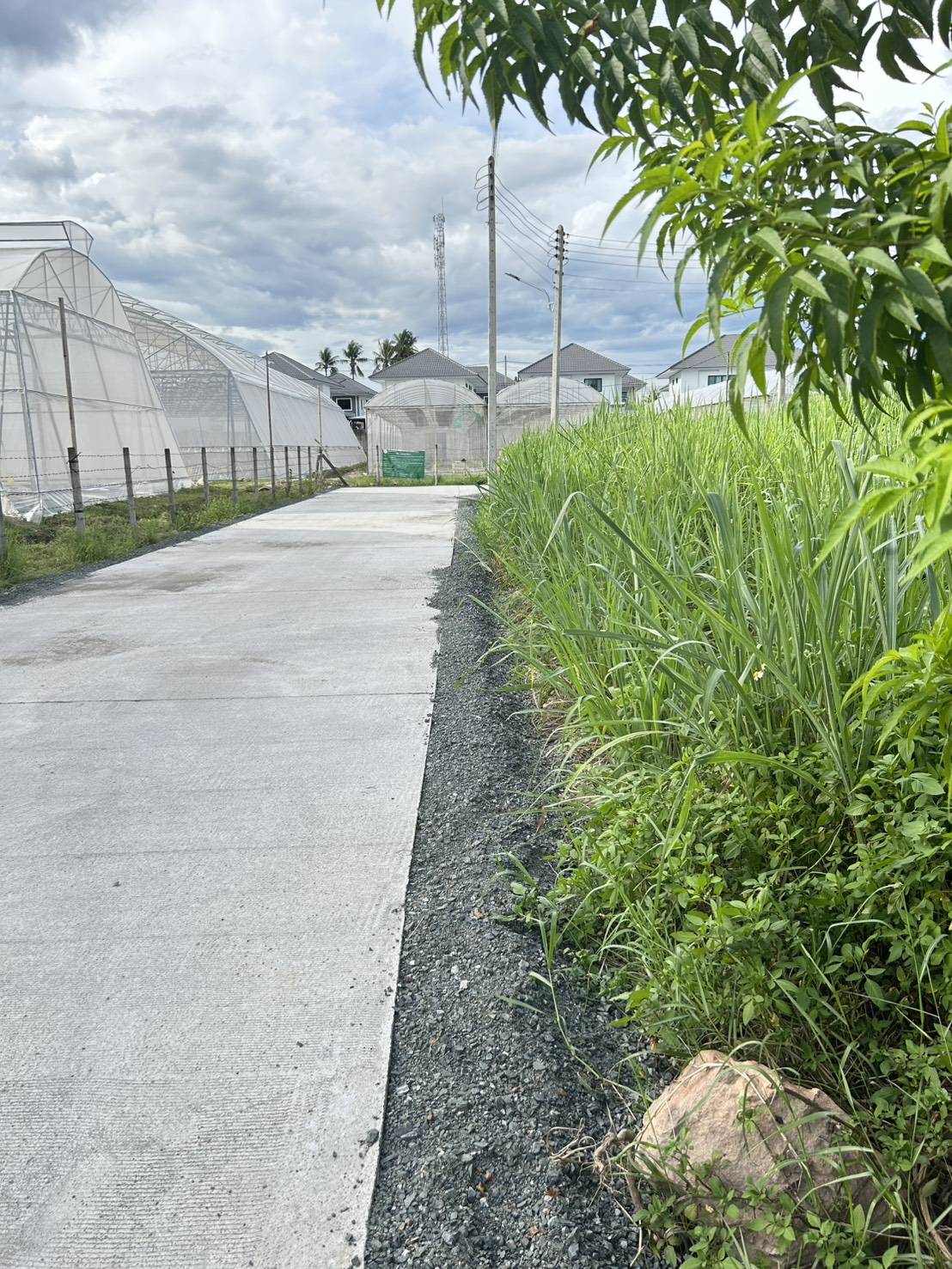 Filled Land for Sale in San Phranet San Sai | THB 18K/Sq.Wah photo 7